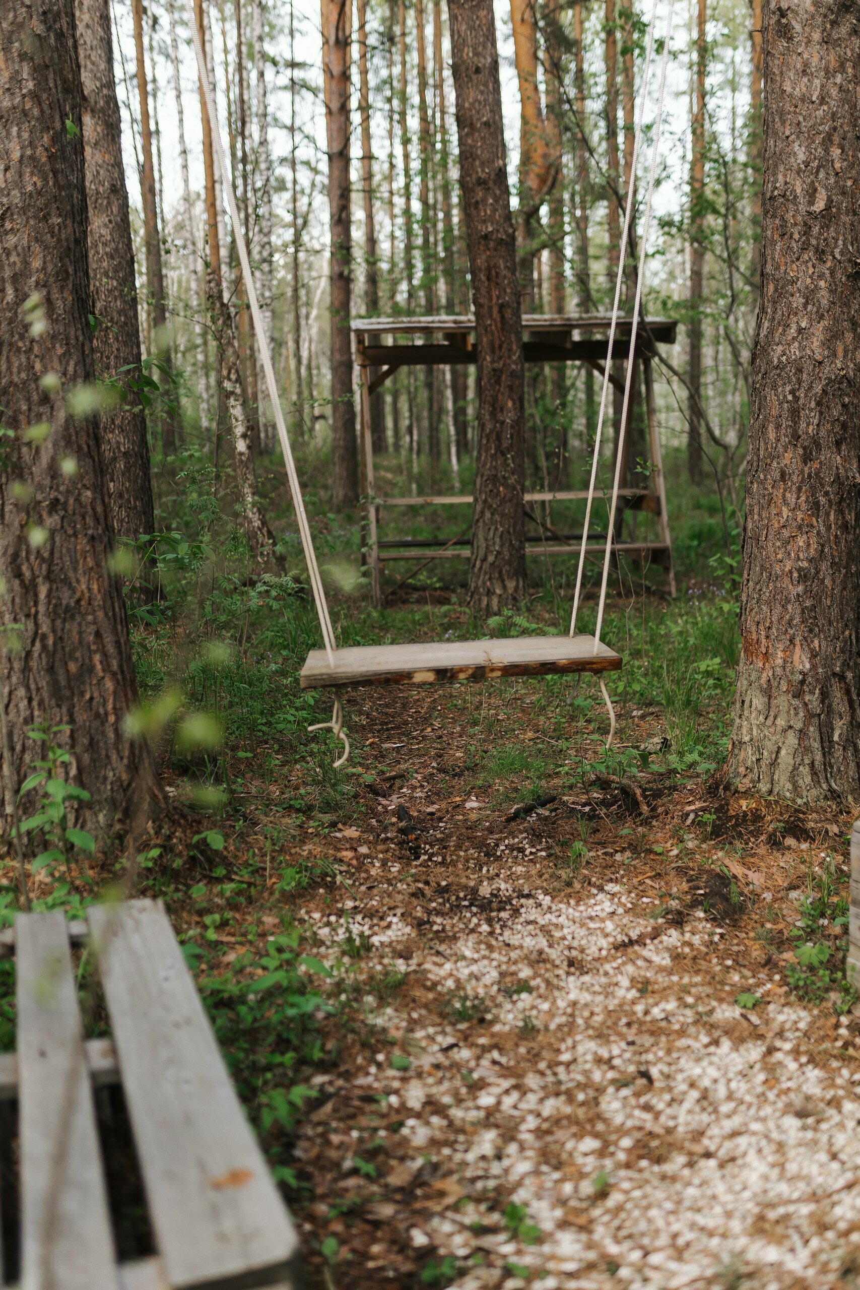 Улучшенный семейный номер