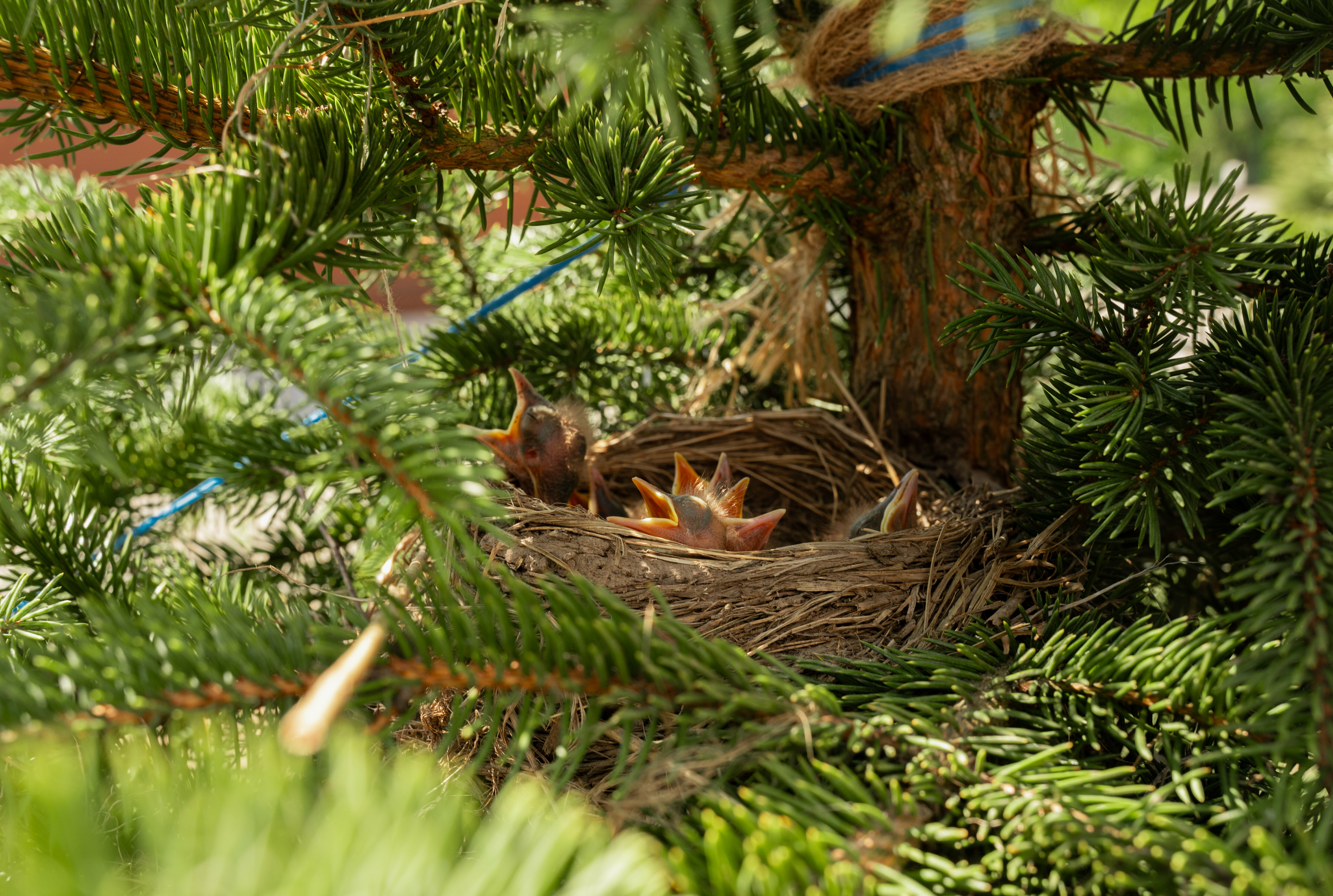 Дом с видом на лес 190кв.м.