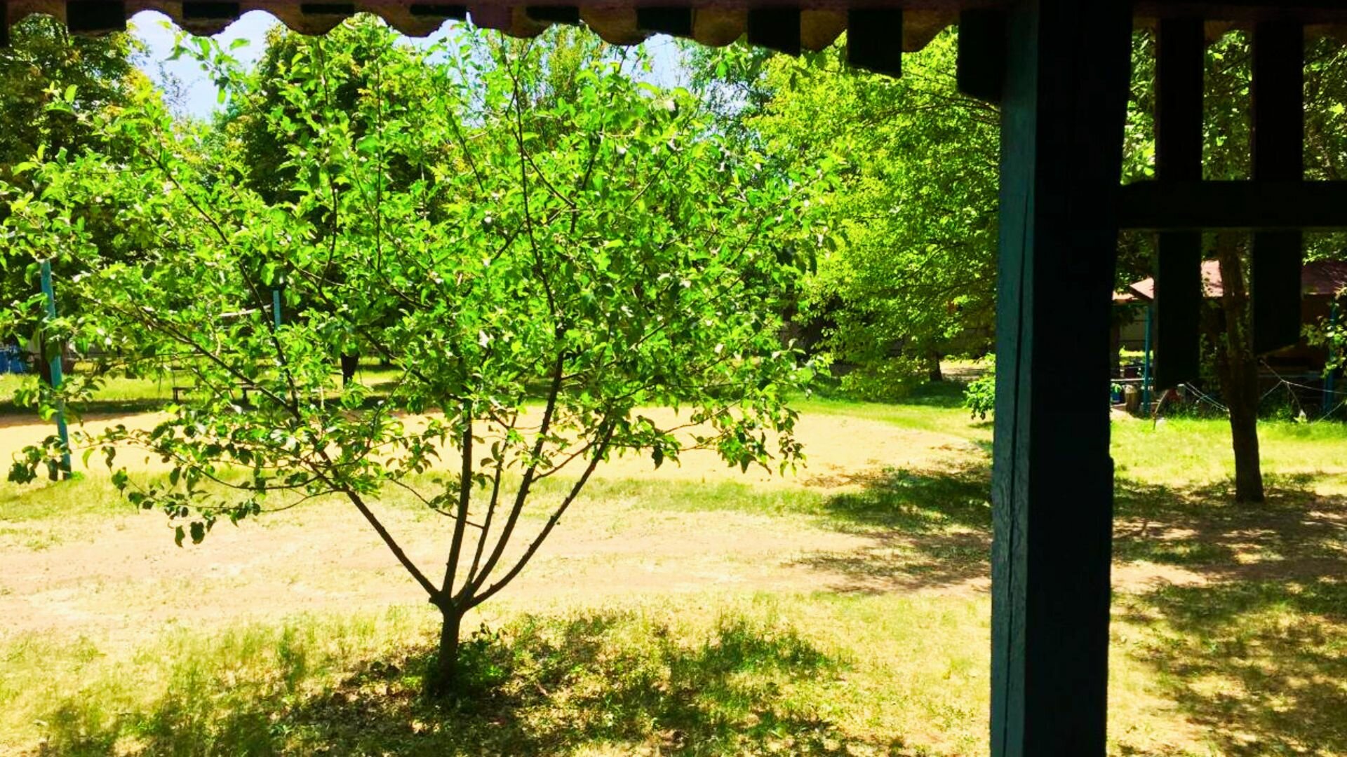 Бюджетный трехместный номер