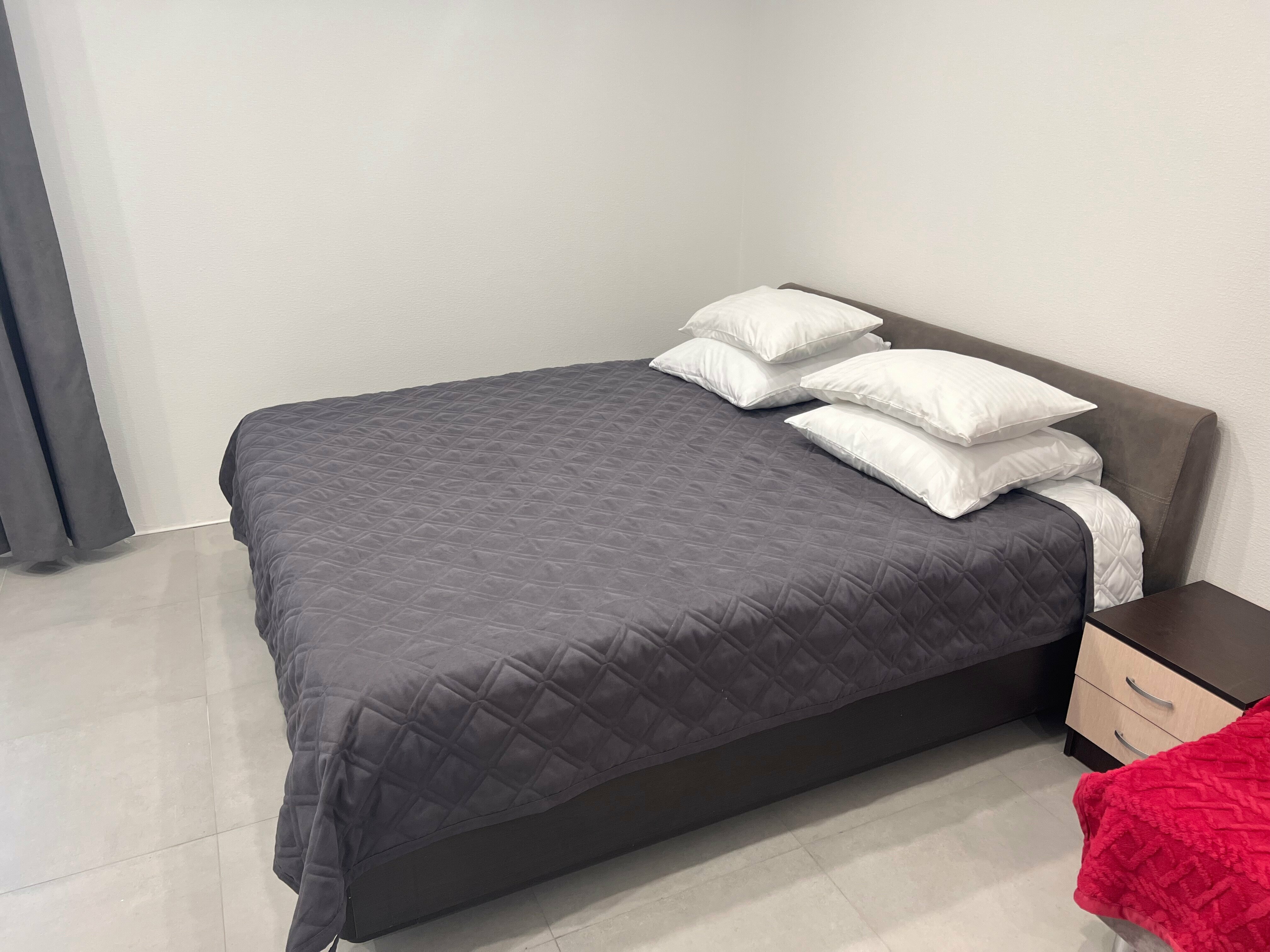 Современная трехместная студия (апартаменты) с двуспальной кроватью king-size, раскладным диваном, своей кухней и ванной комнатой