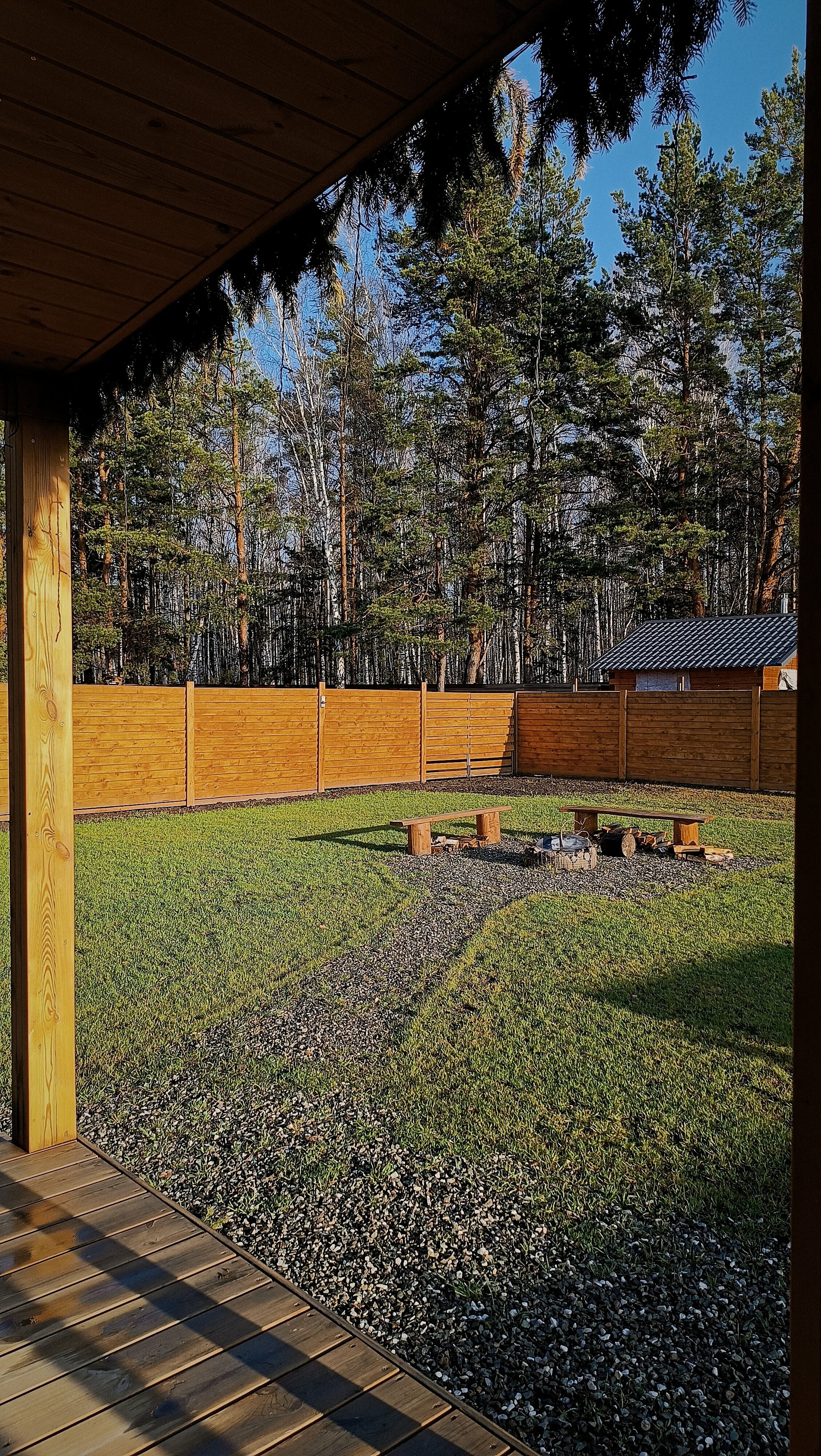 Дом с видом на лес