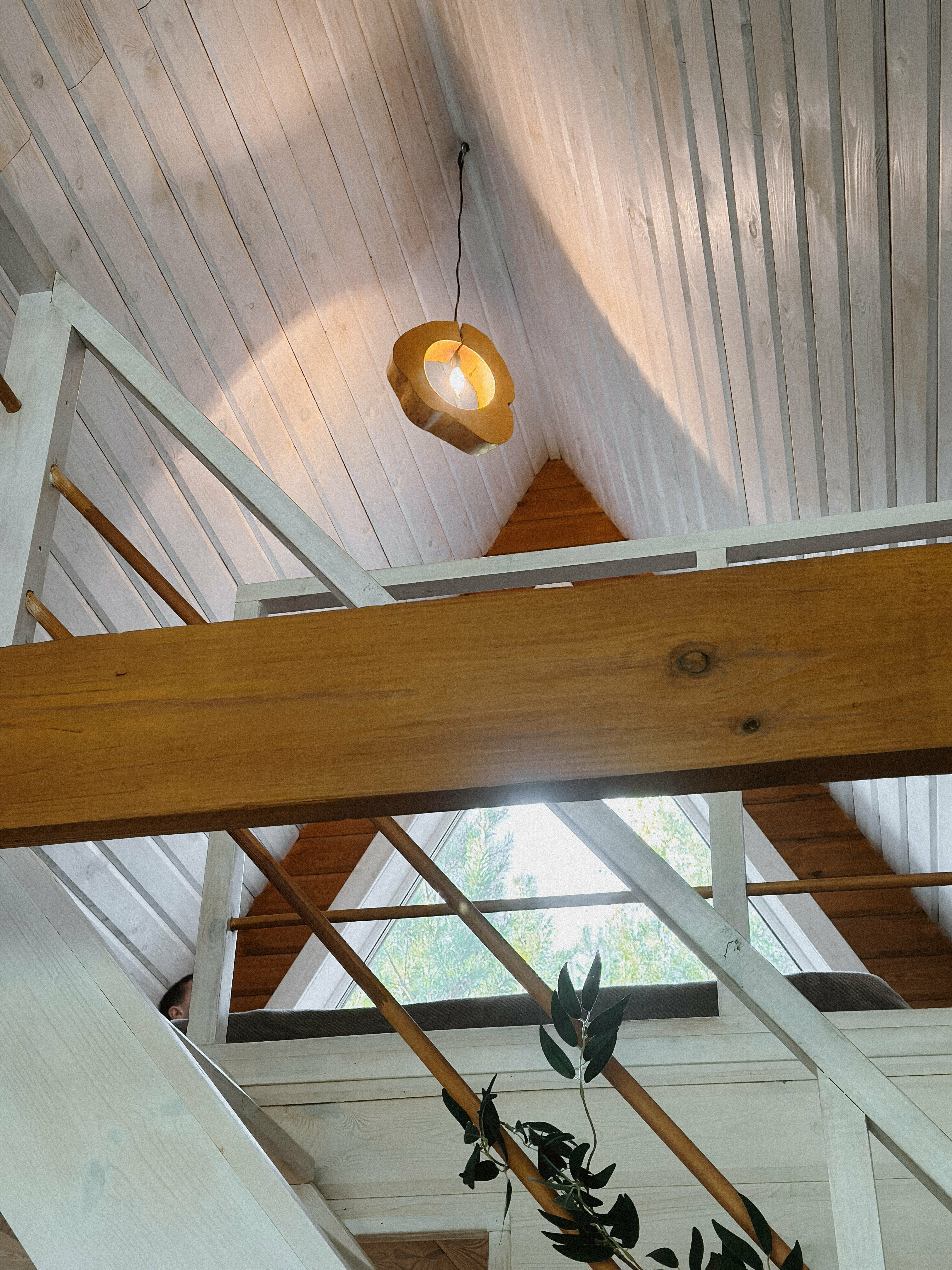 Дом с видом на лес