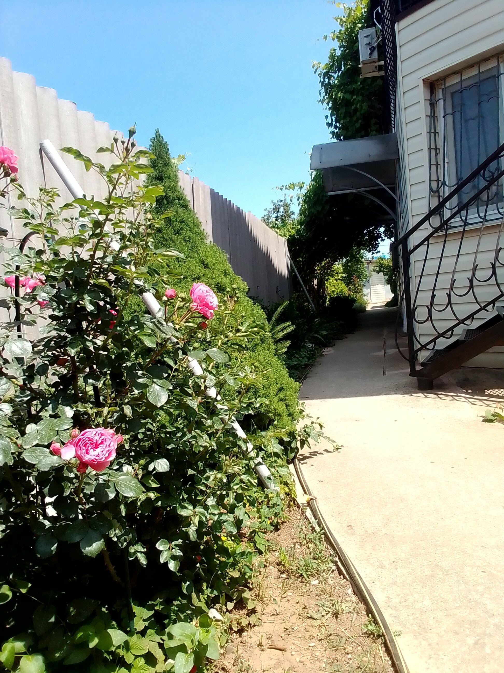 Четырехместный номер на первом этаже