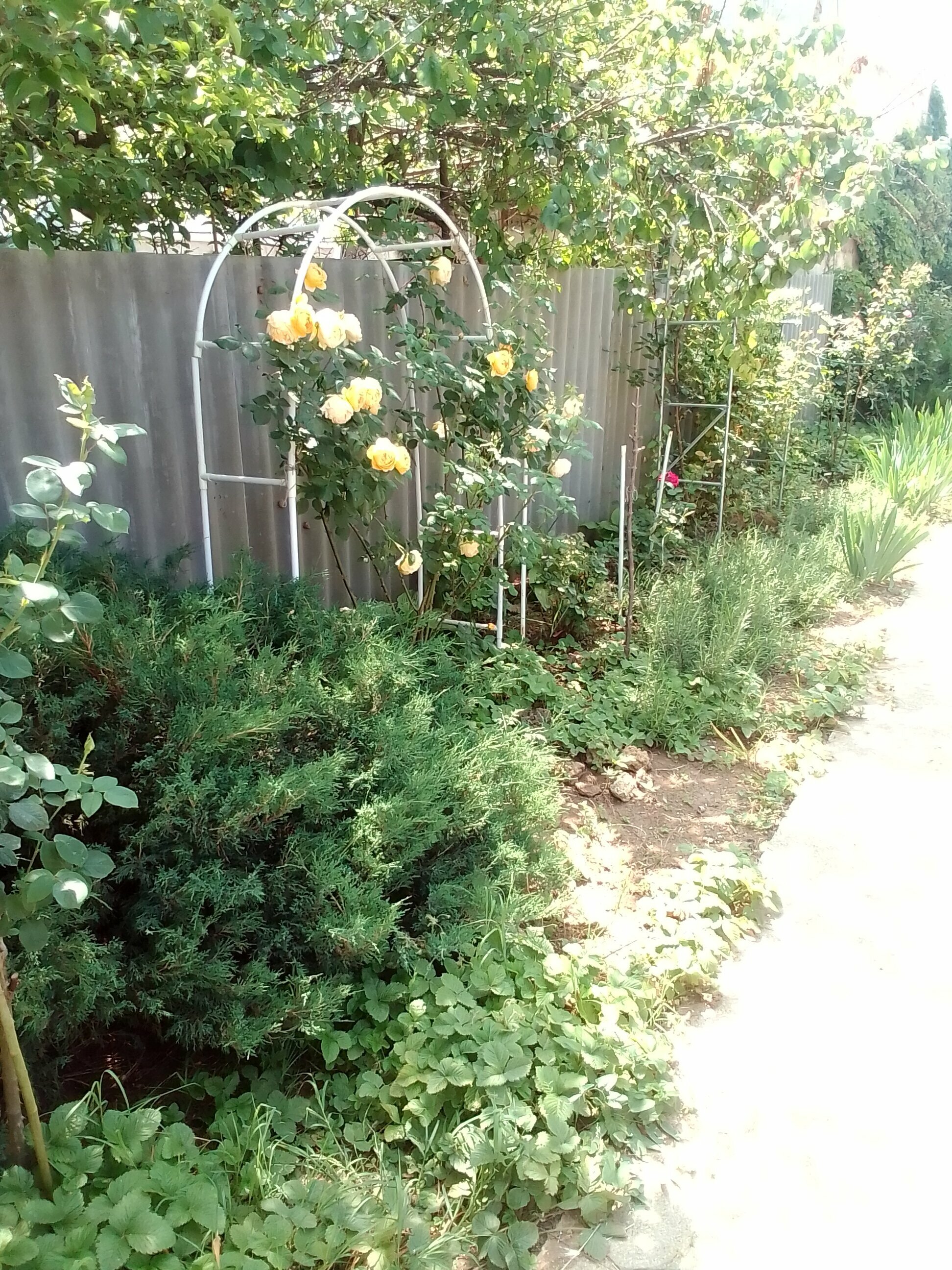 Четырехместный номер на первом этаже