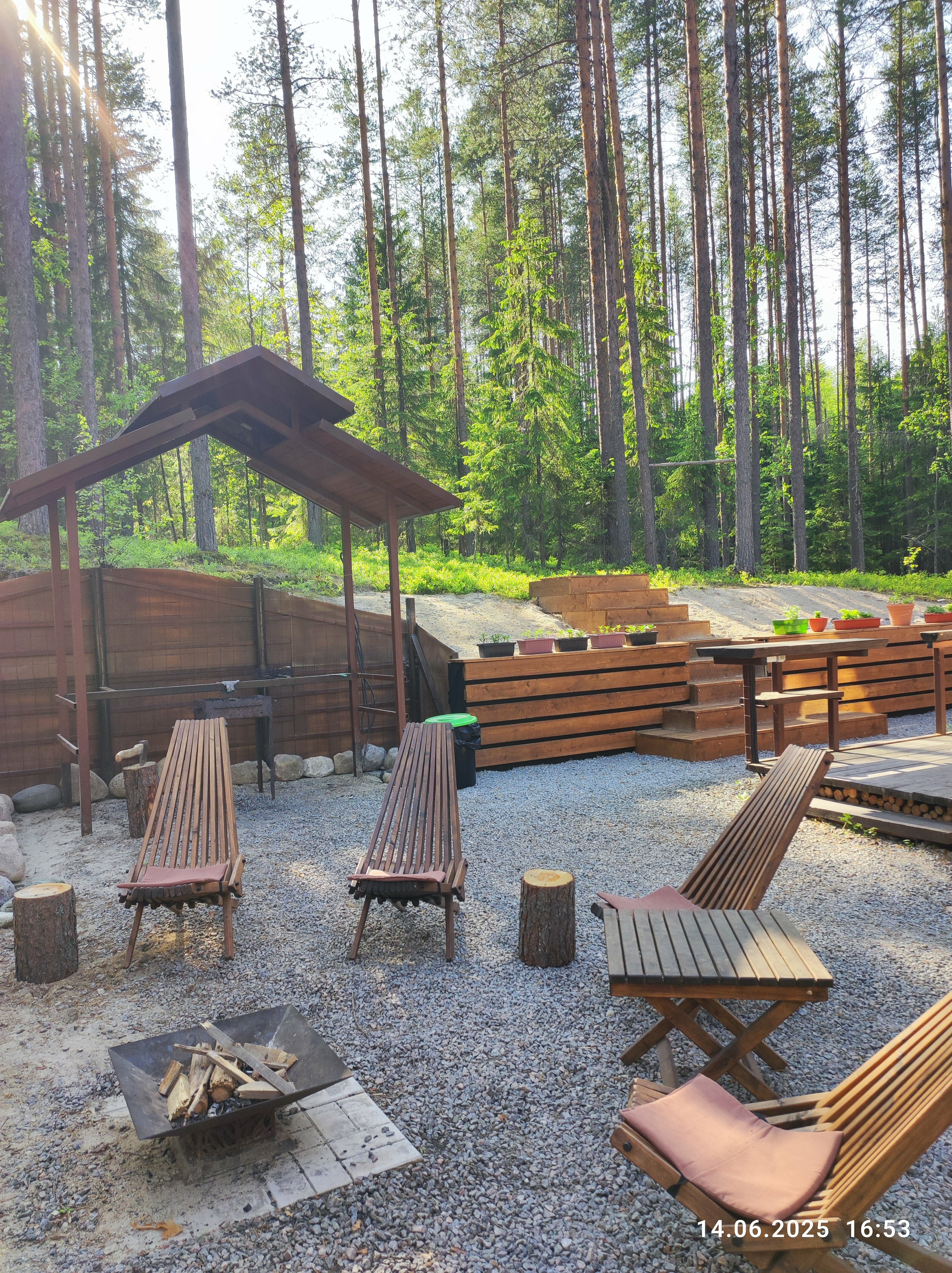 Коттедж с видом на лес