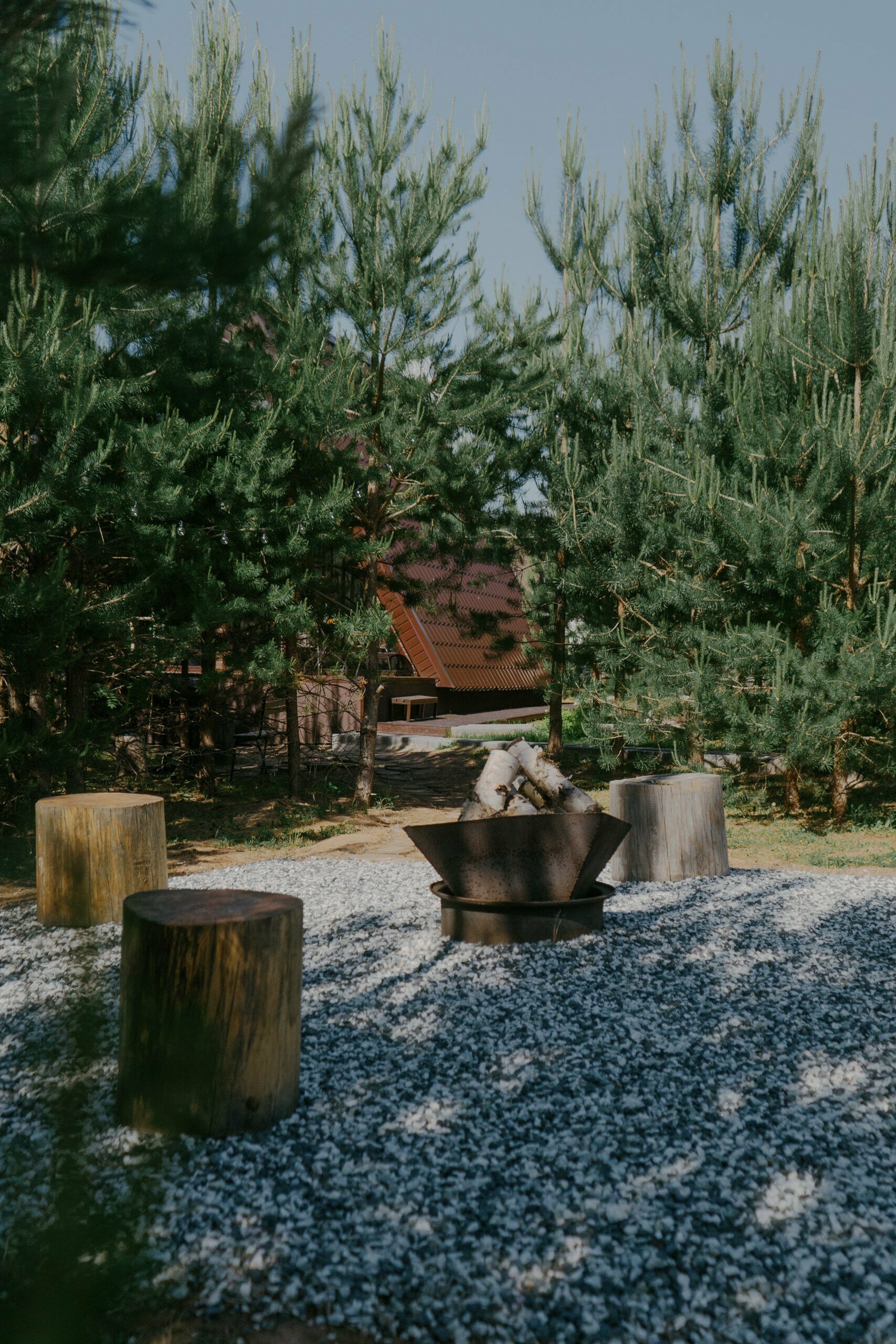 Дом с видом на лес