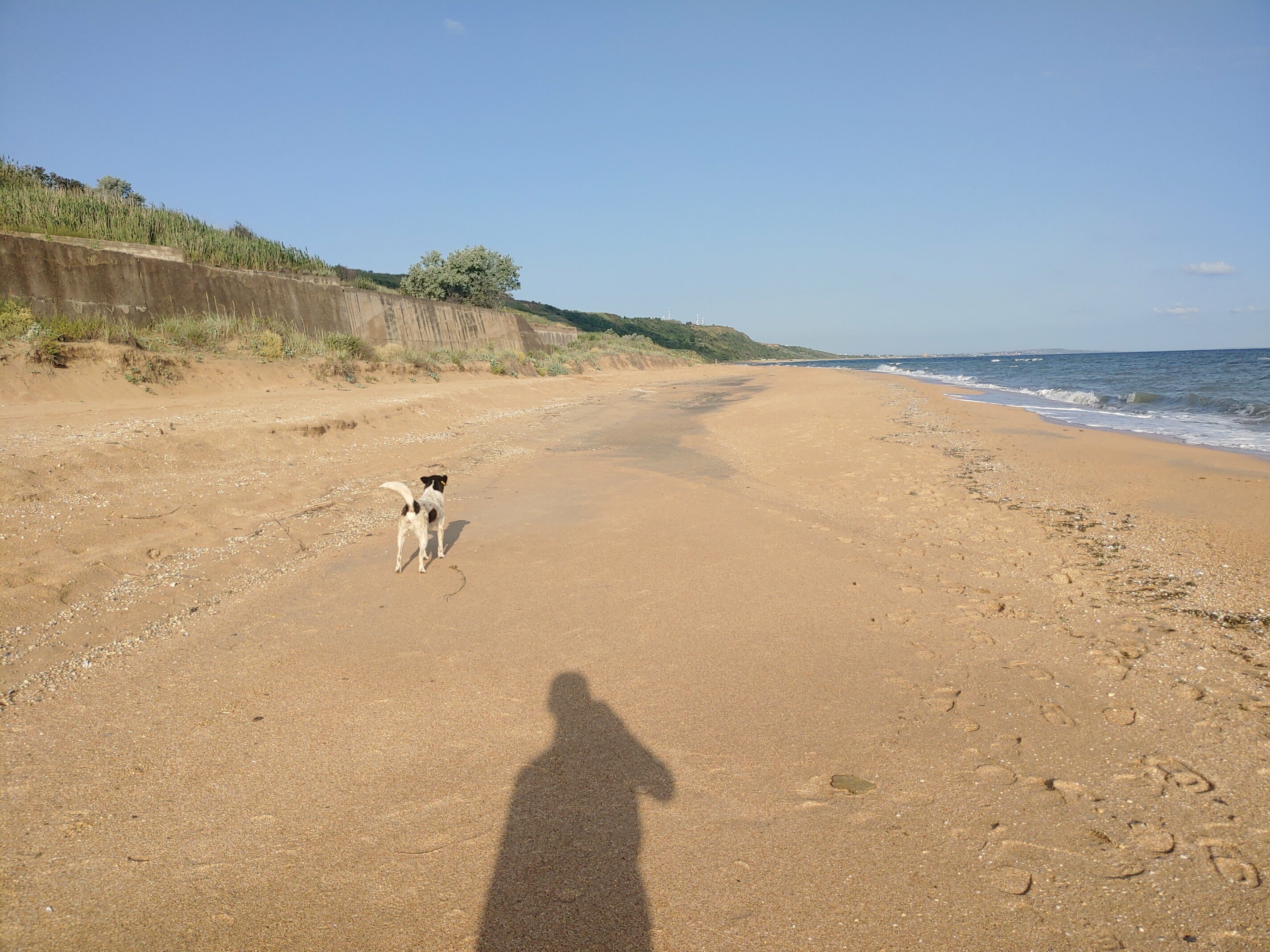 Апартаменты - 1-й этаж