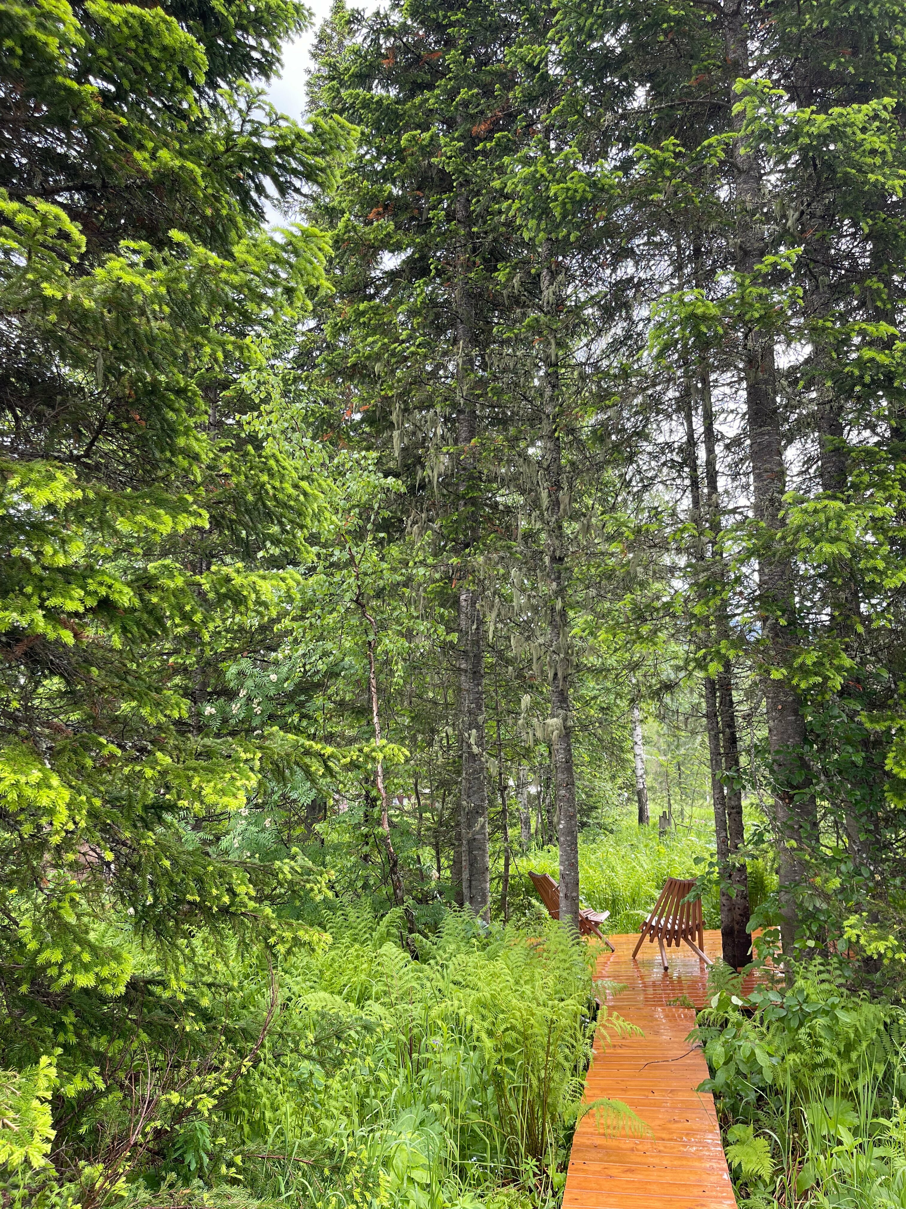 Шале с 3 спальнями