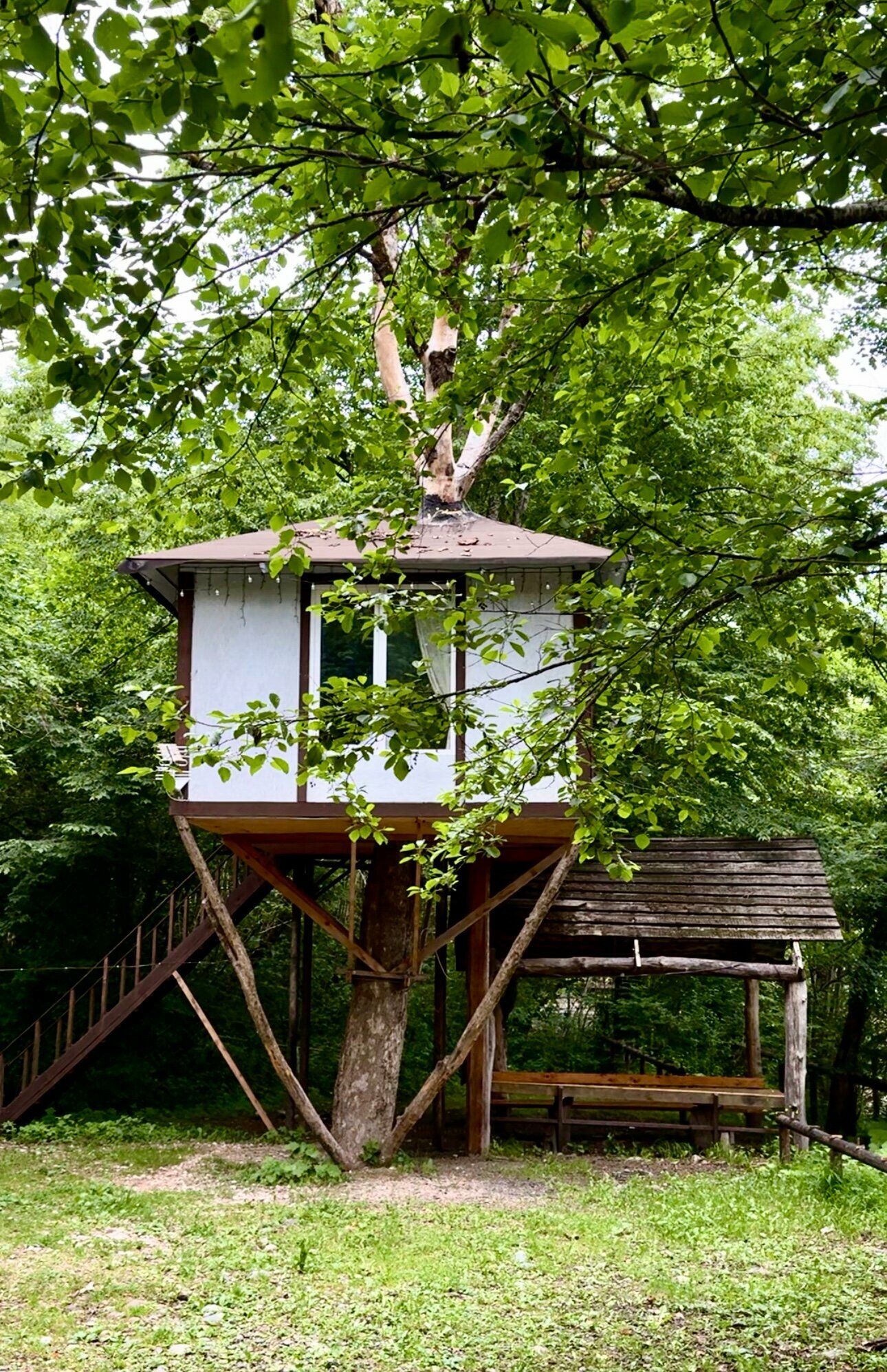 Роскошный трехместный номер