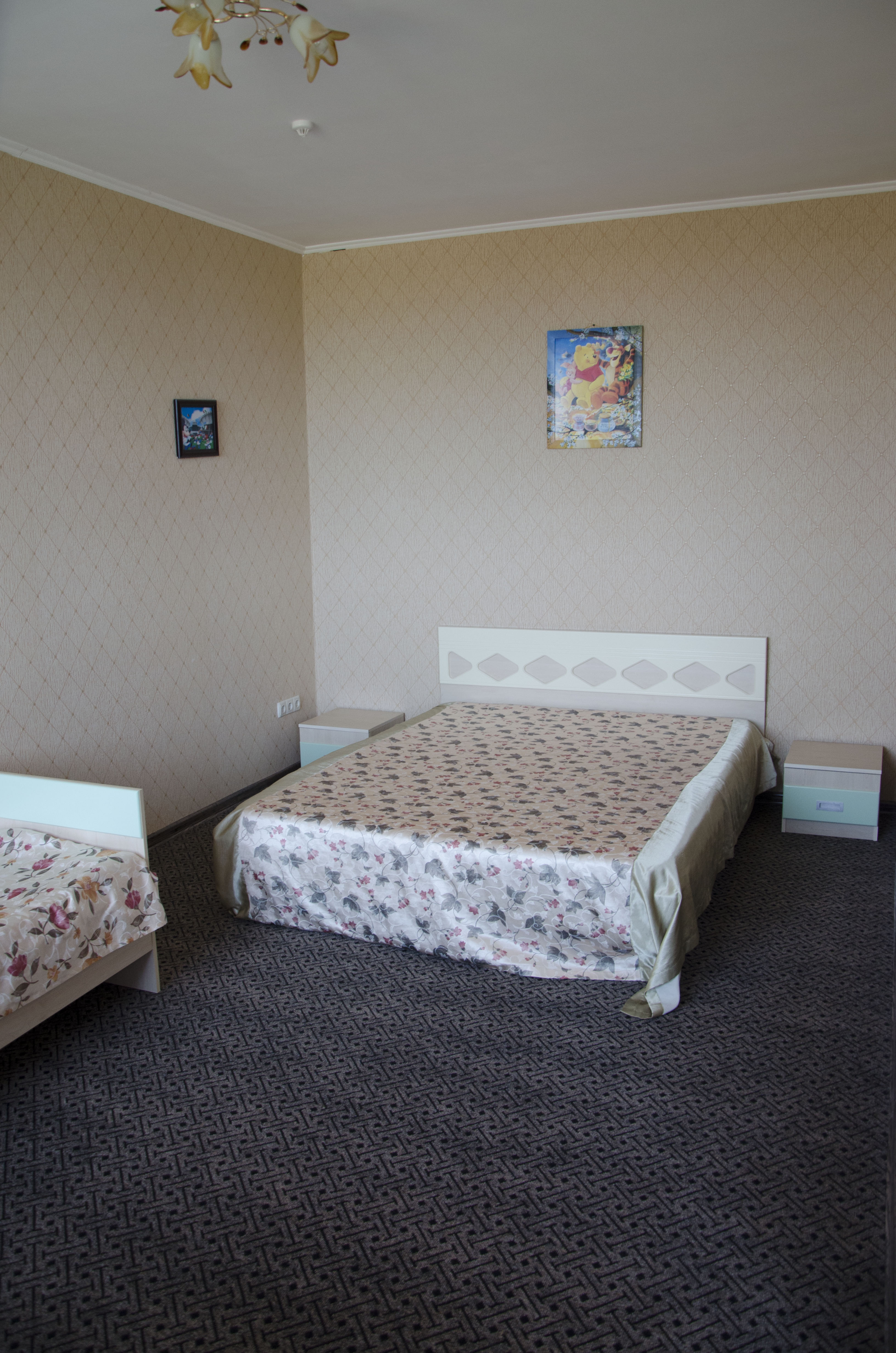 Двухместный номер с 1 кроватью или 2 отдельными кроватями