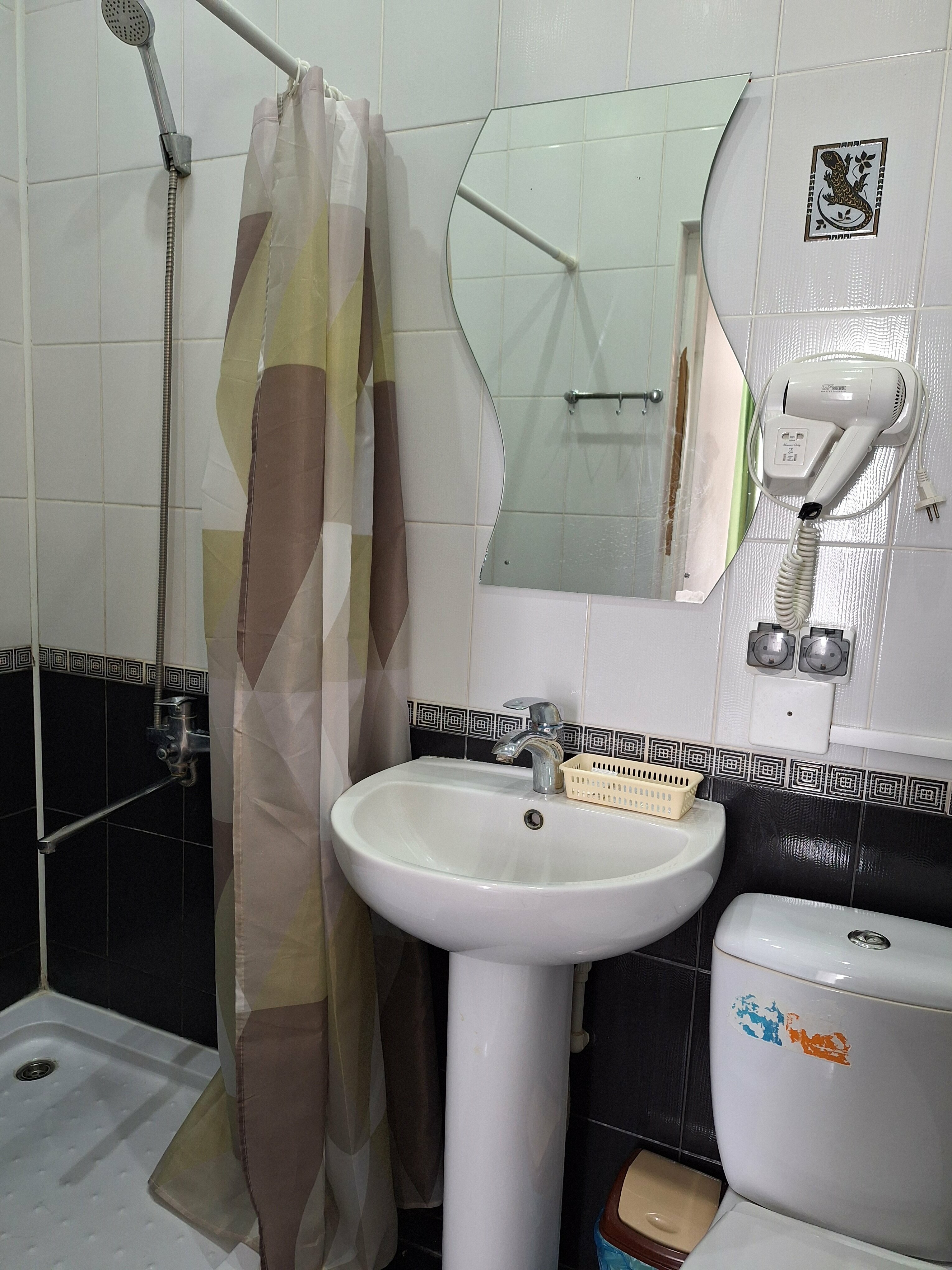 Двухместный номер эконом-класса с 1 кроватью