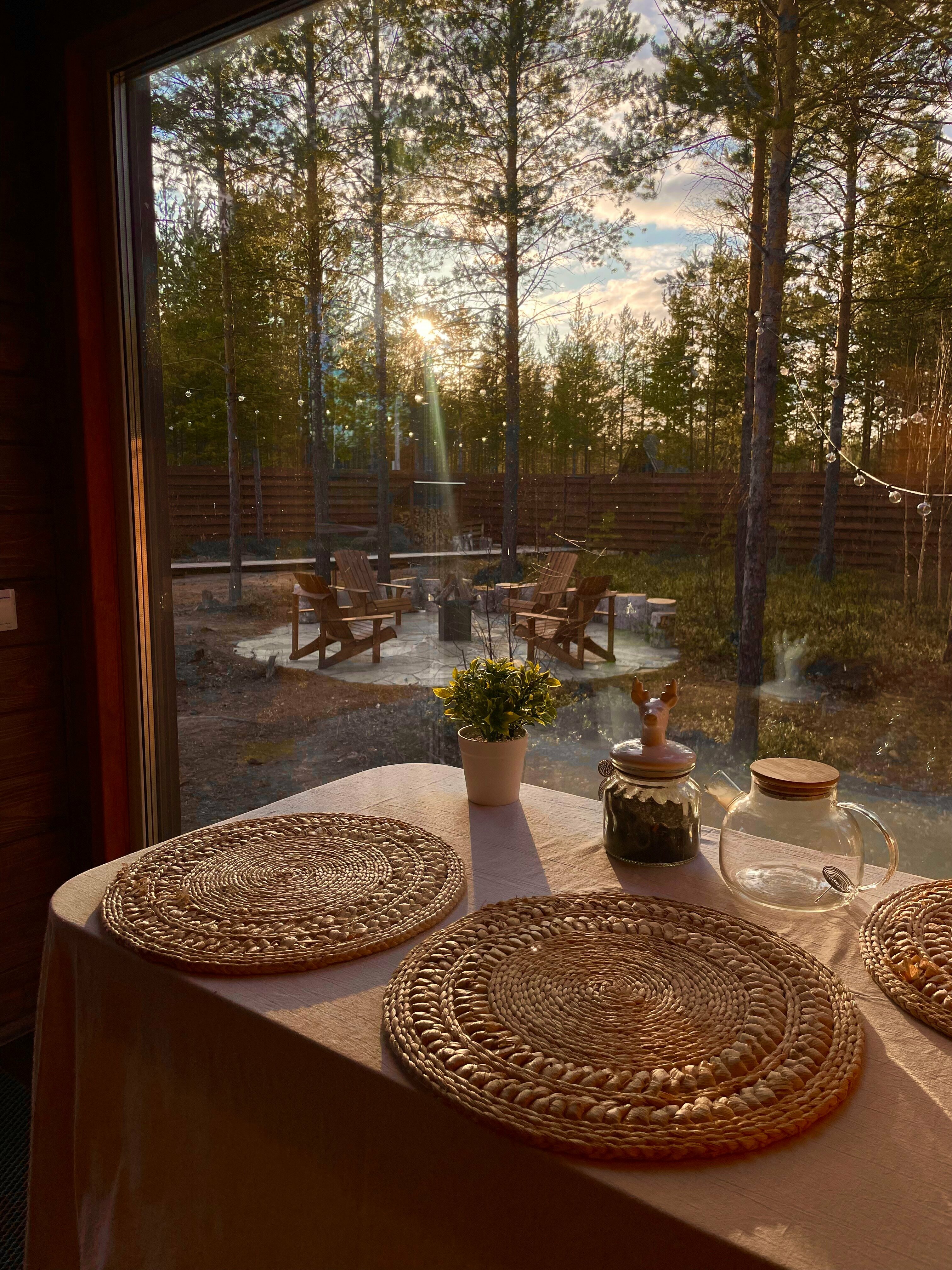 Дом с видом на лес