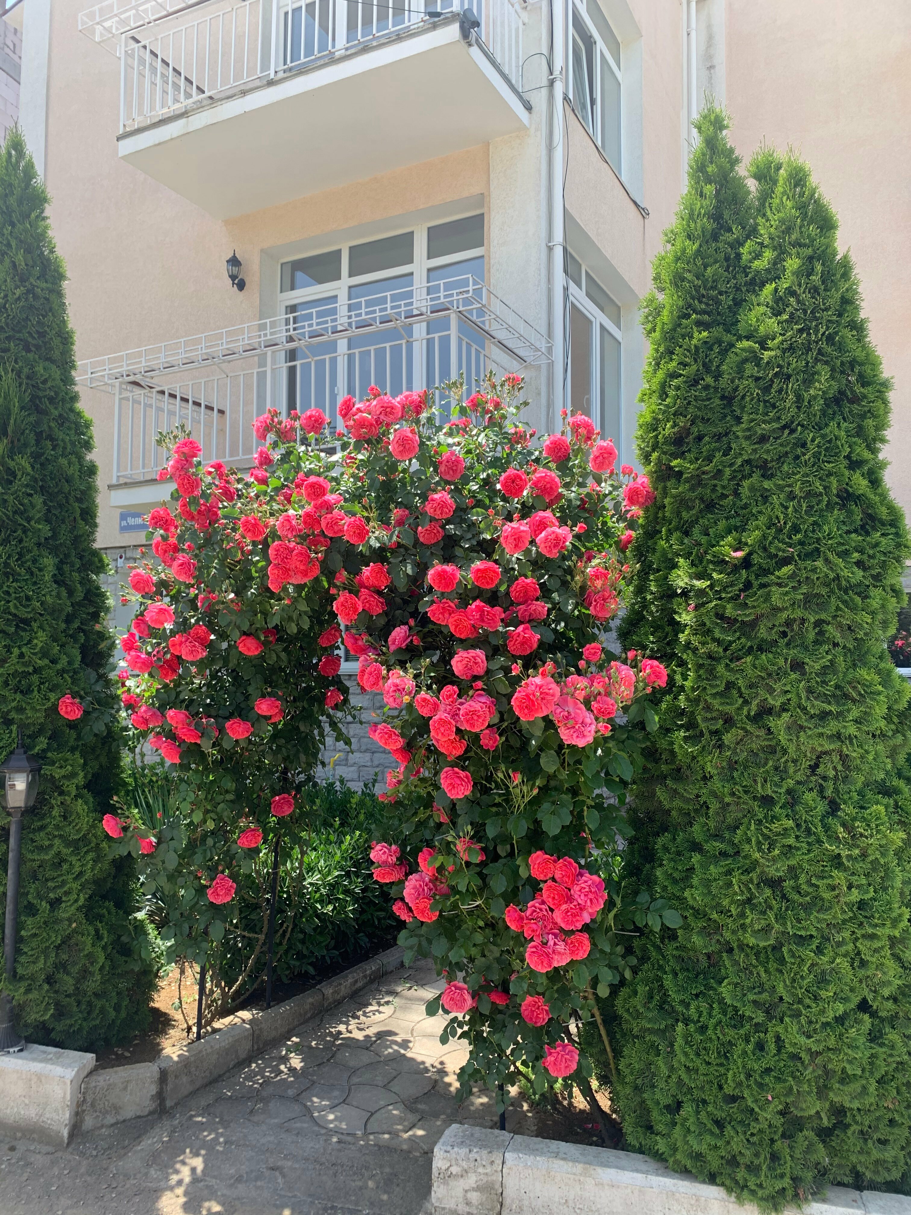 Семейный номер-студия  #2 с кухней 32 м.кв