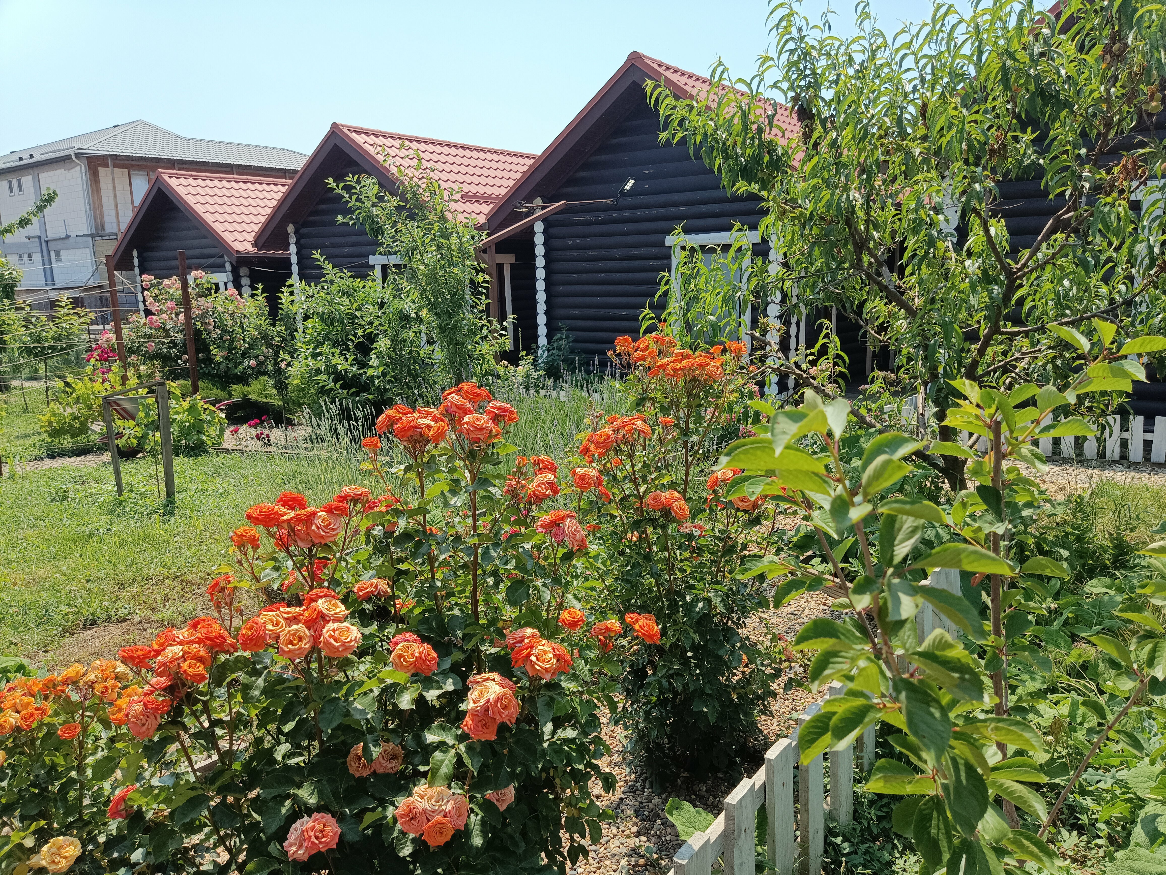 Семейный номер