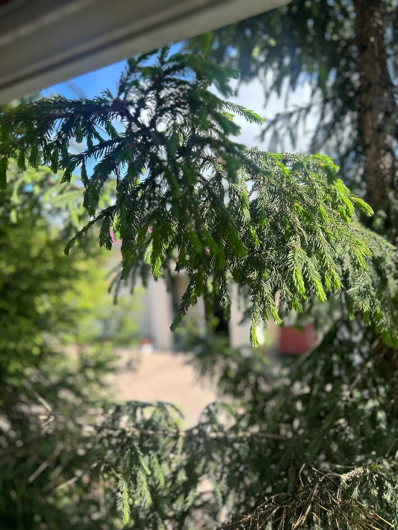 Люкс с 1 спальней