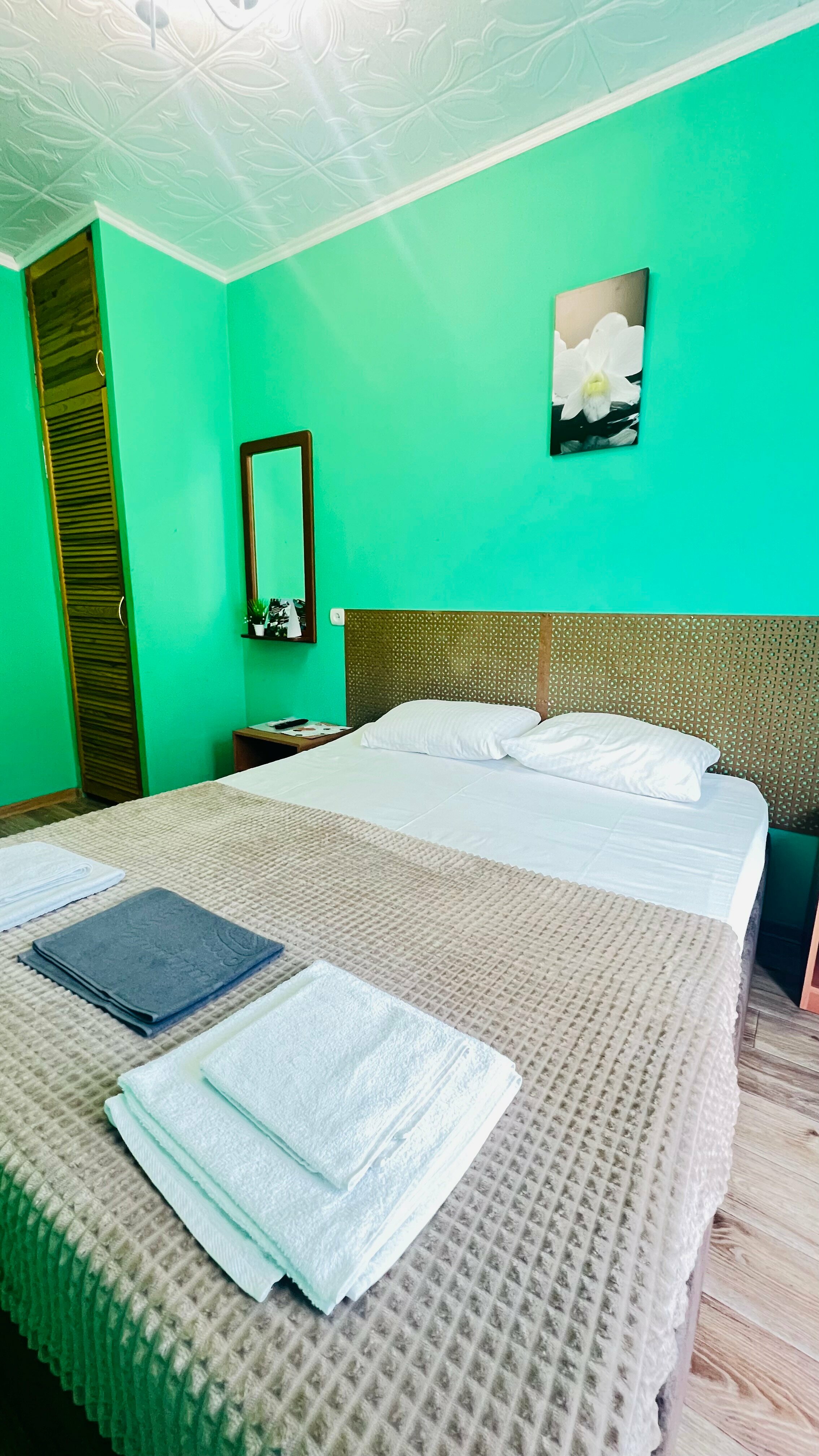 Двухместный номер Стандарт с видом на сад №3