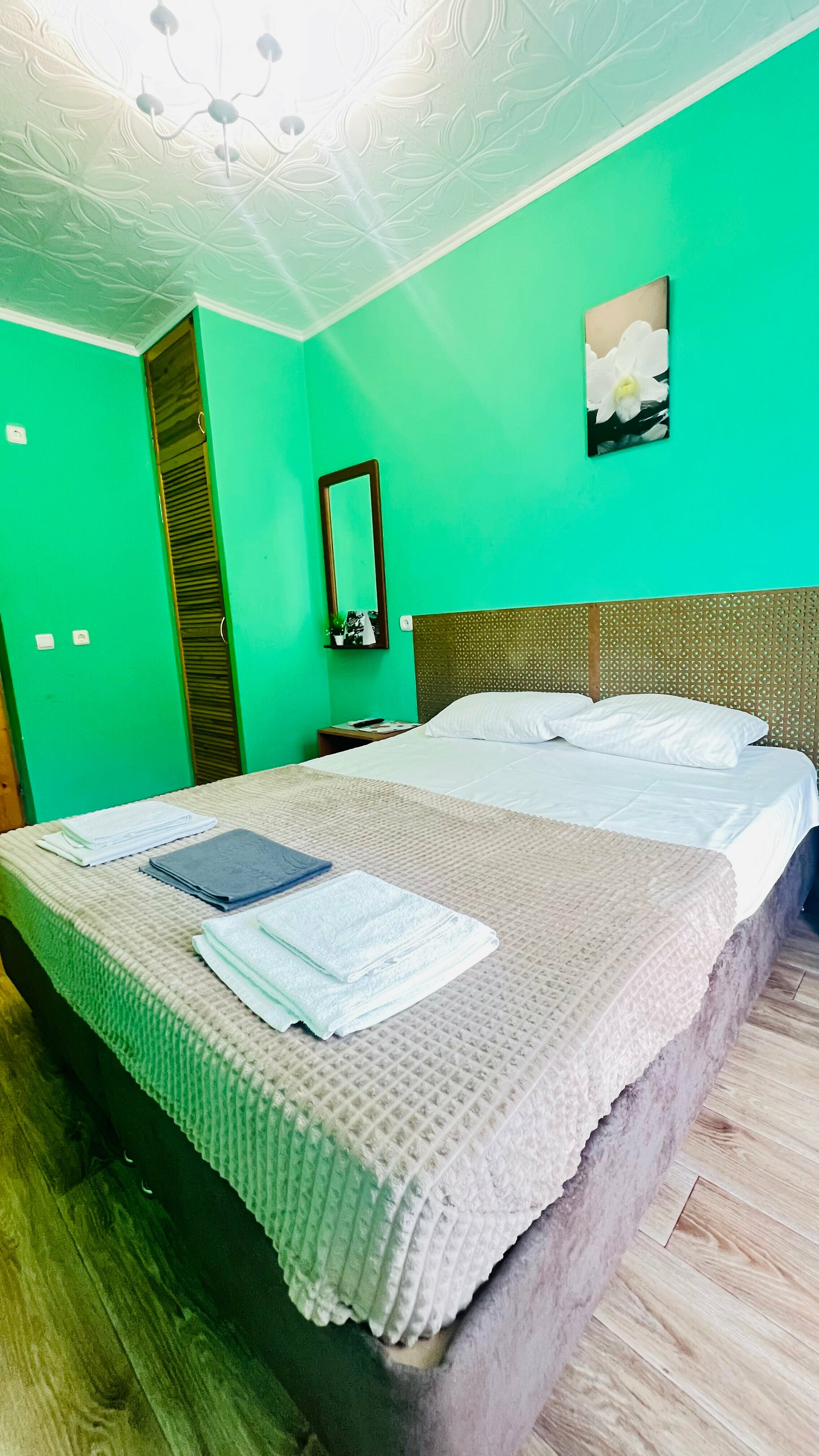 Двухместный номер Стандарт с видом на сад №3