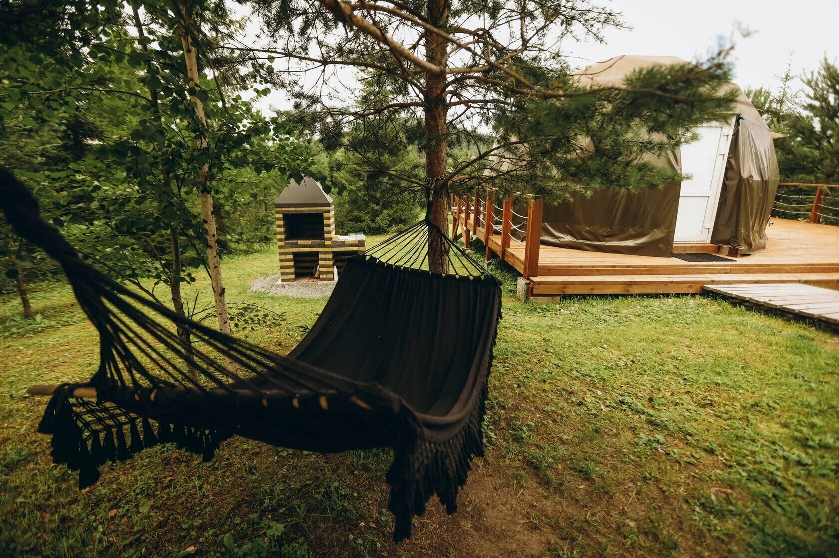 Шатер над ёлкой