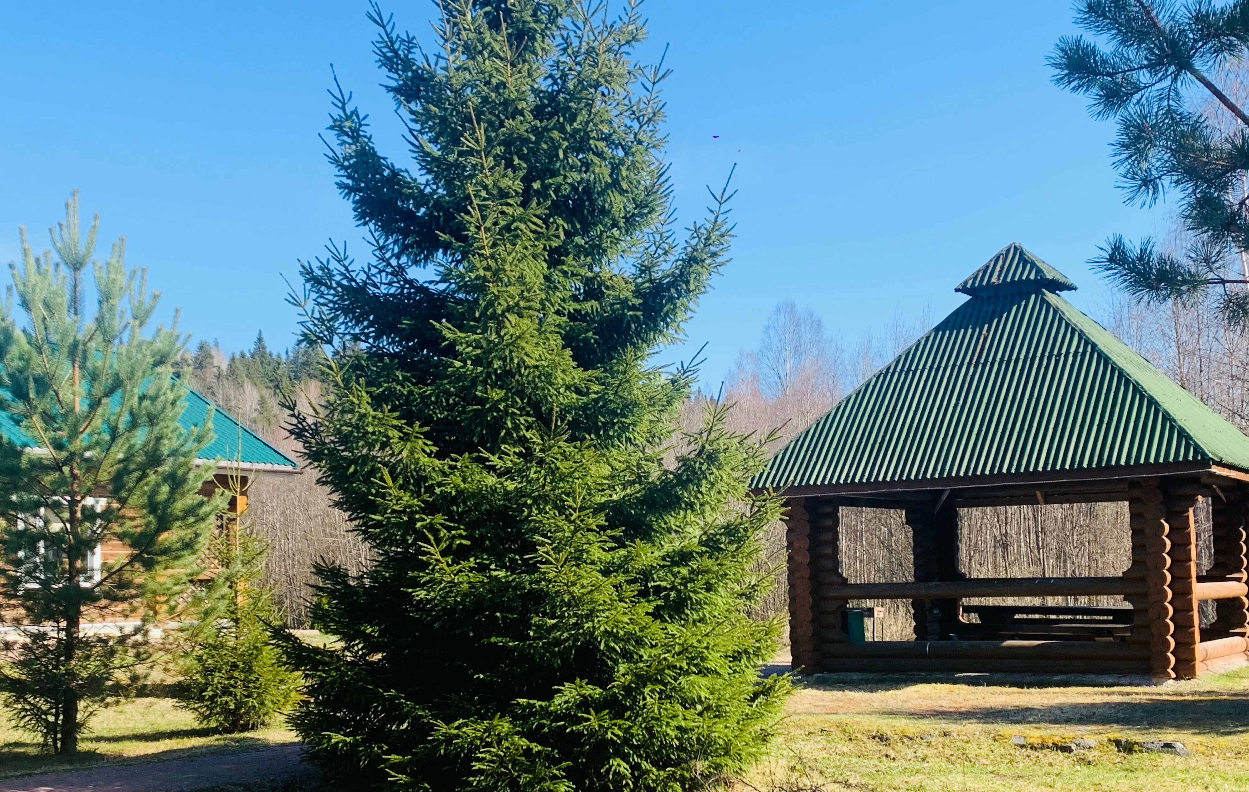 Дом N2 на 4+1 человек с сауной и беседкой с мангалом