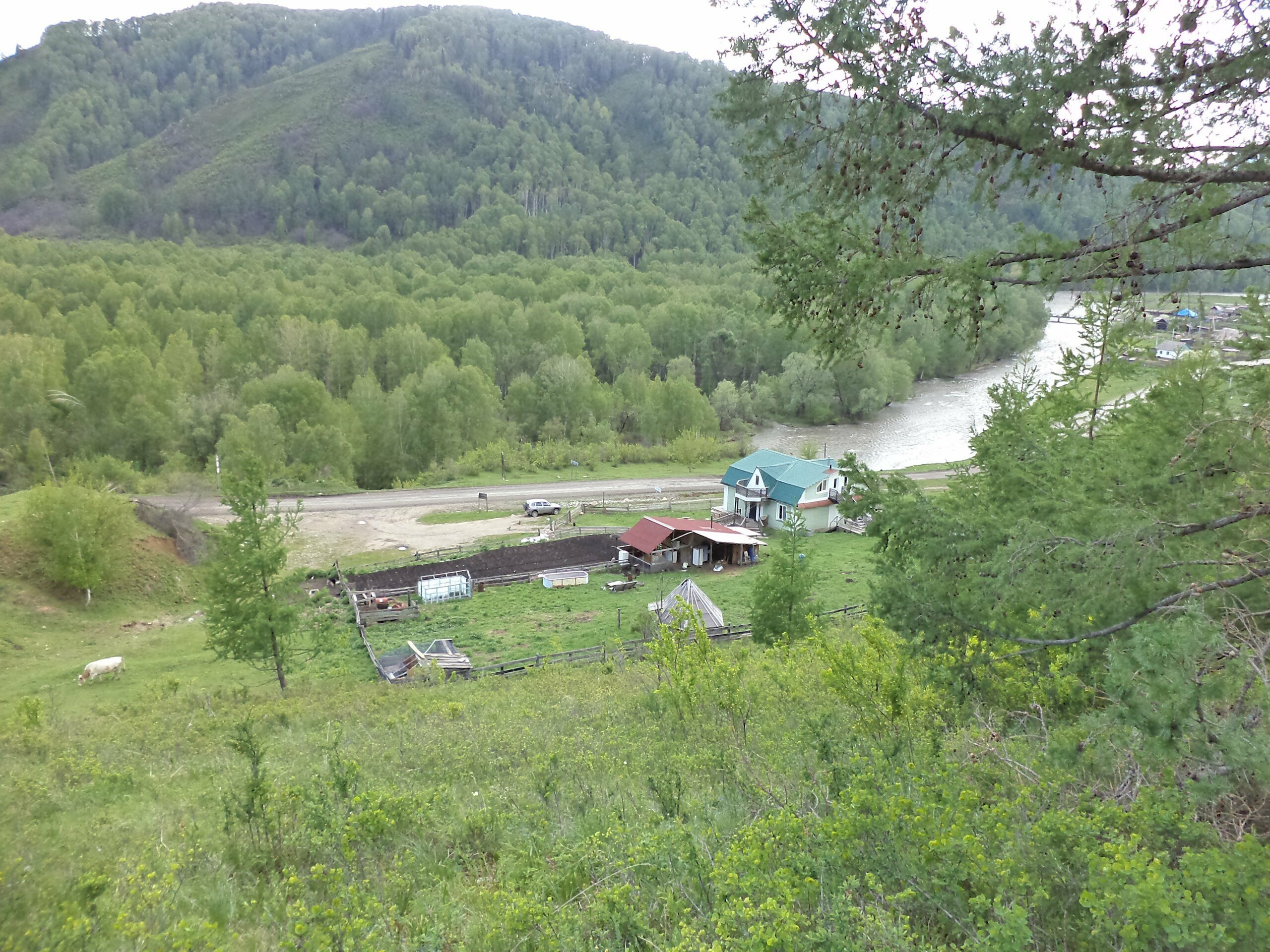 Кровать в общем 4-местном номере для мужчин и женщин