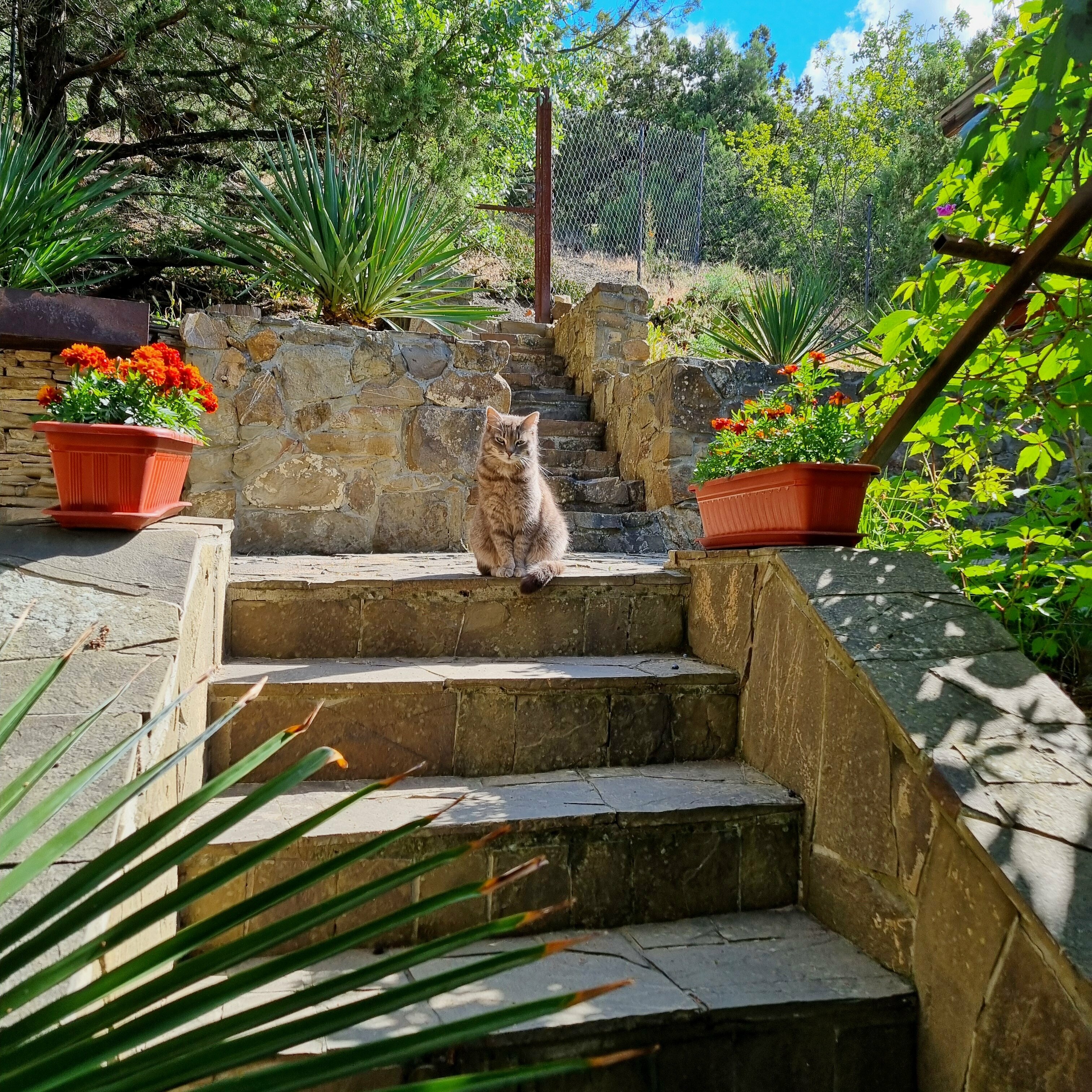 Семейные апартаменты с двумя спальнями и двумя санузлами