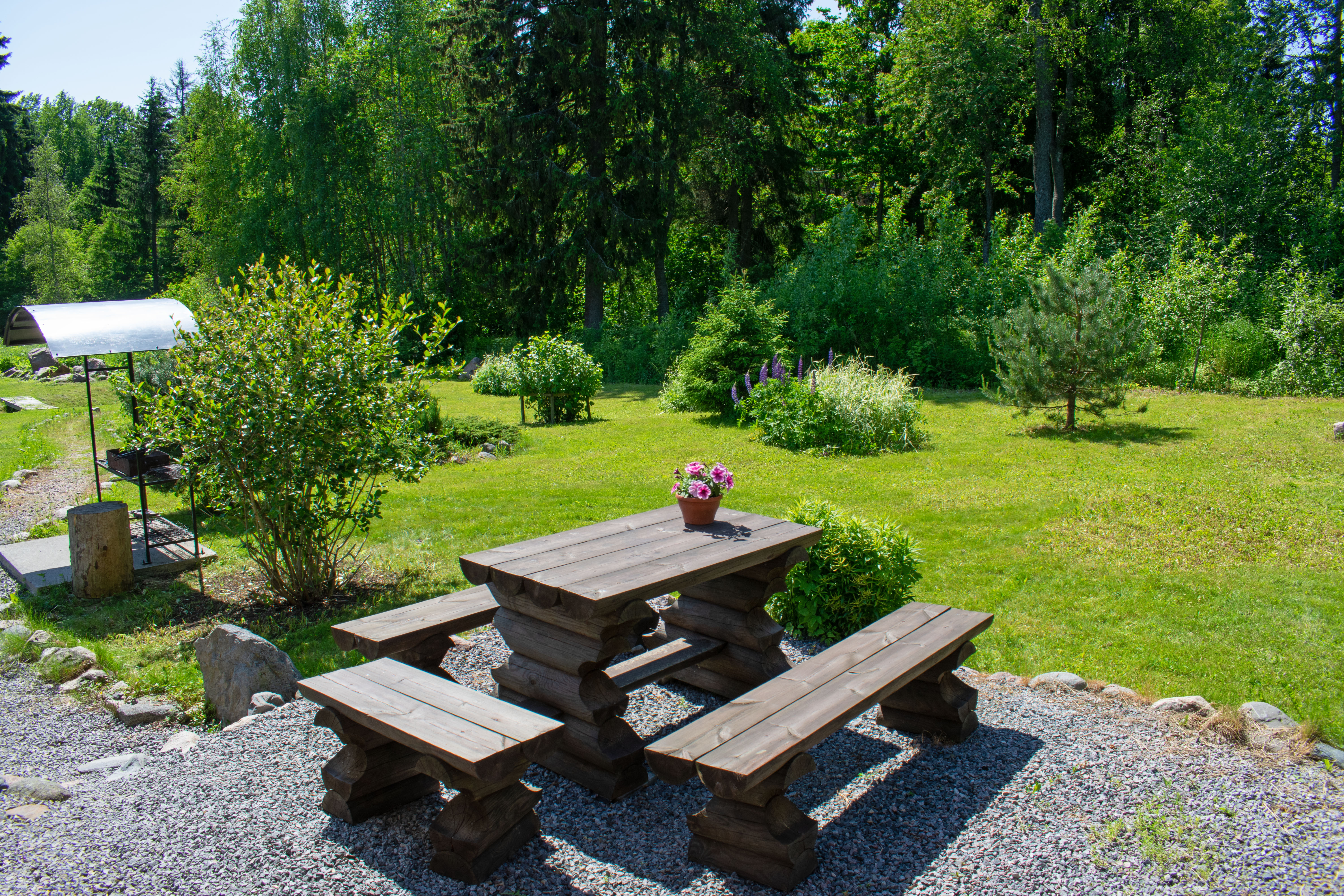 Коттедж с видом на лес