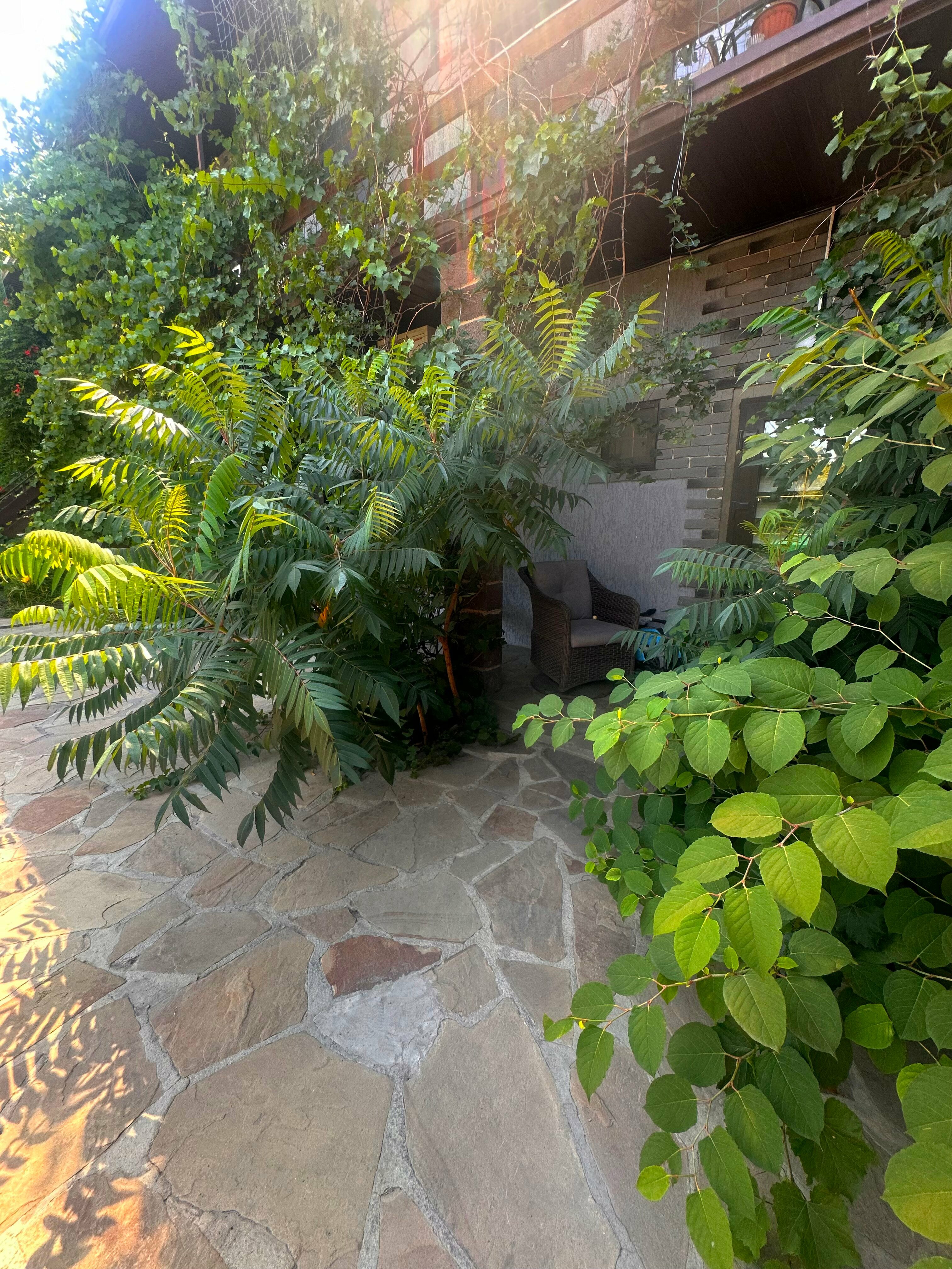 Бюджетный трехместный номер