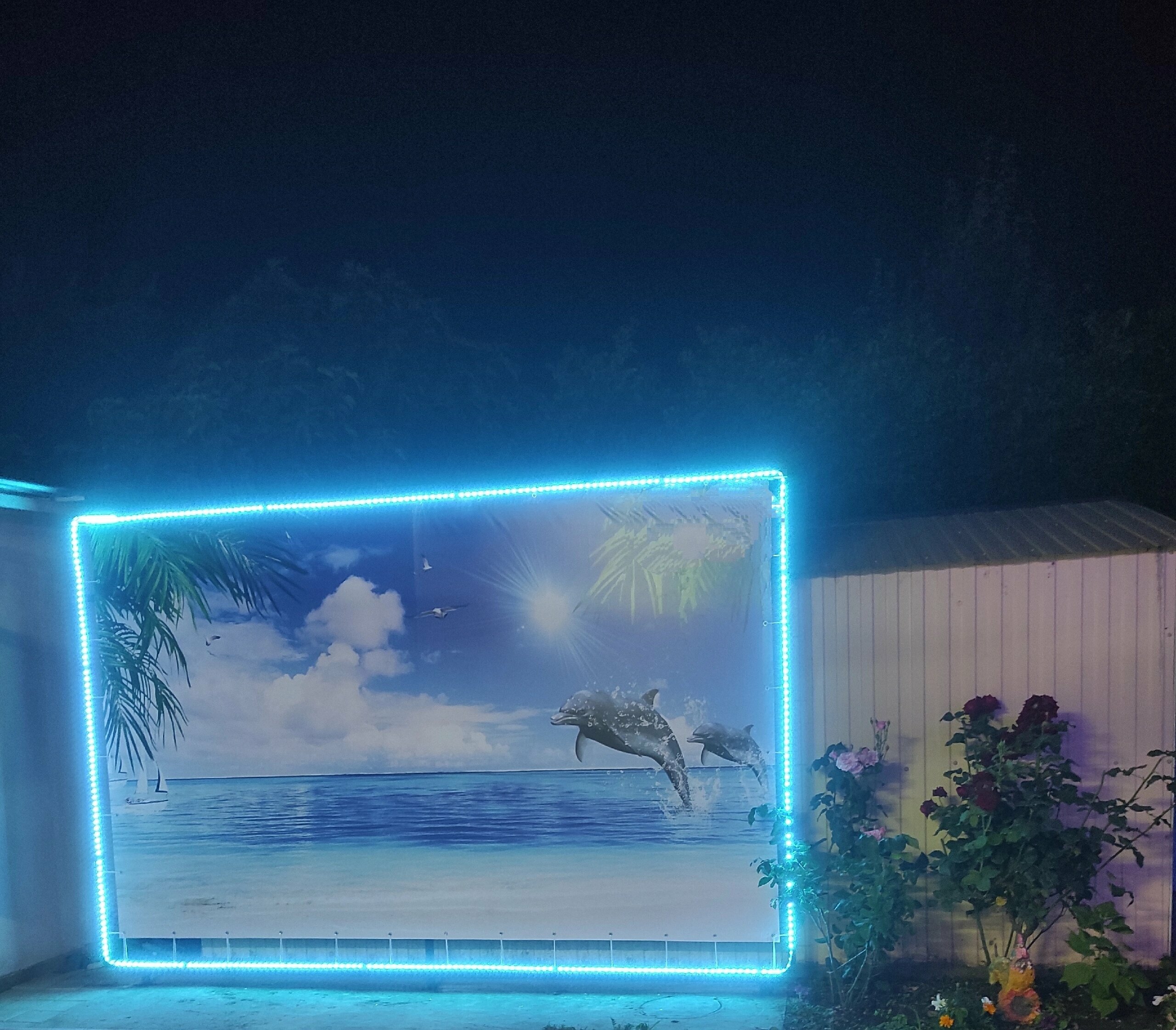 Развлечения