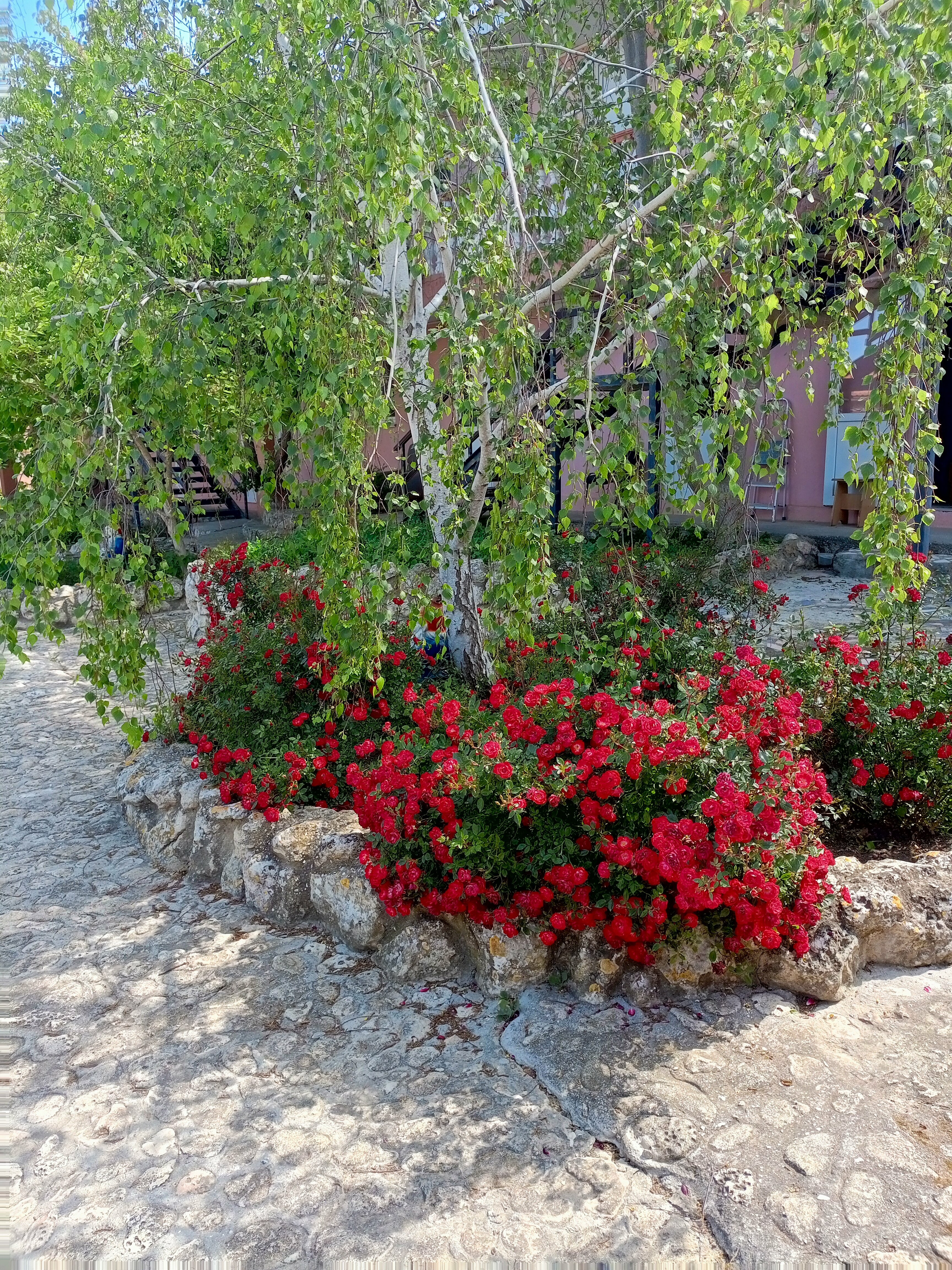 Классический трехместный номер