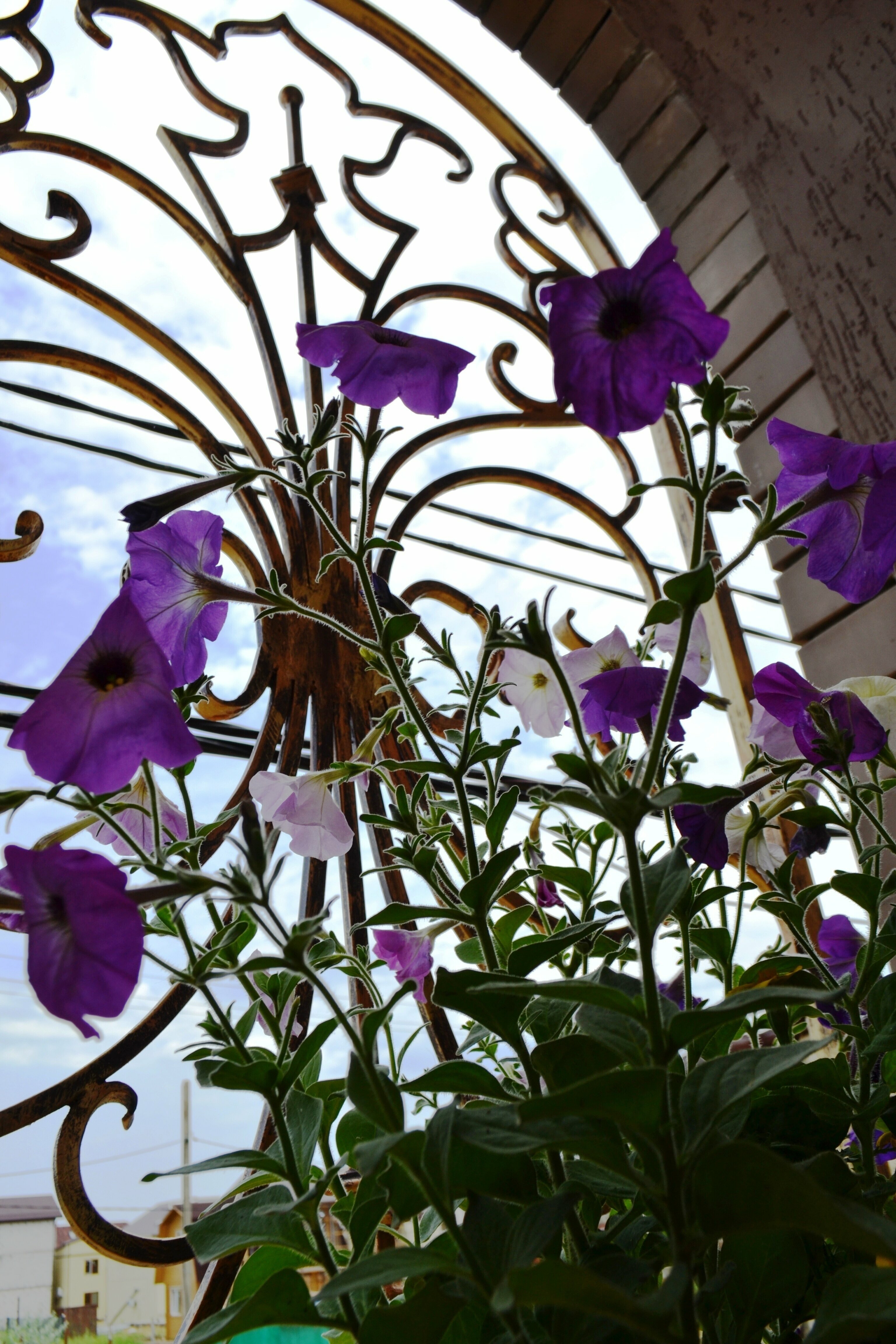 Семейный номер