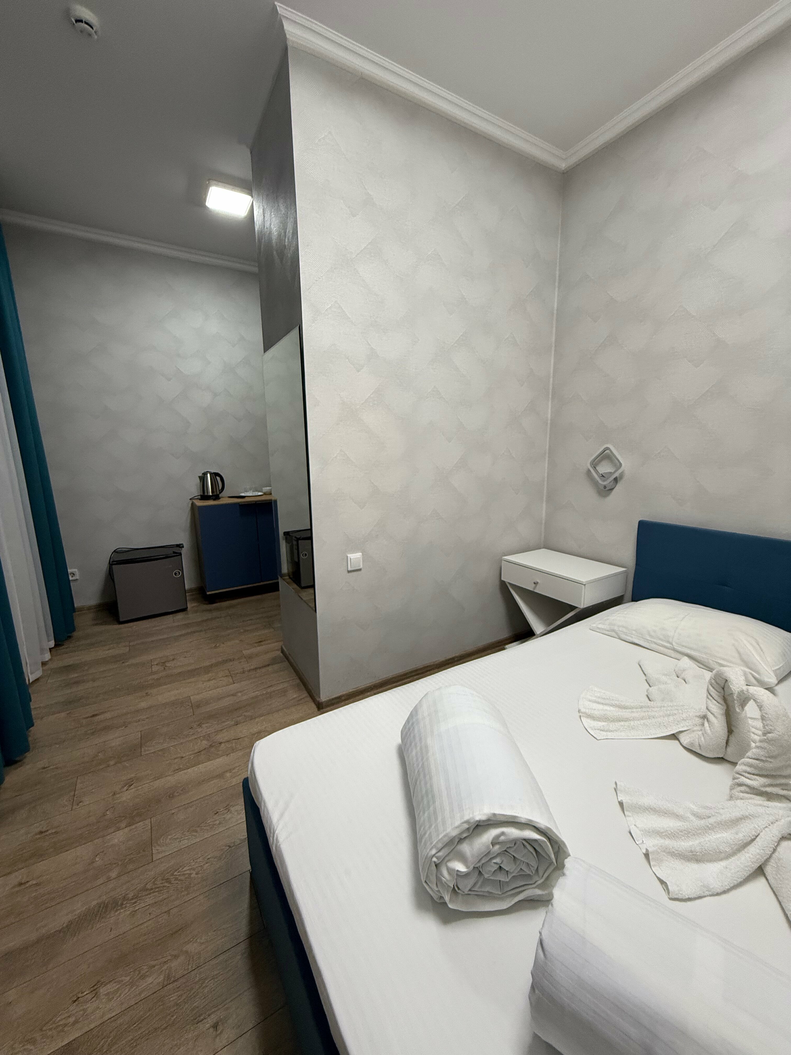 Двухместный номер с 1 кроватью и видом на парк