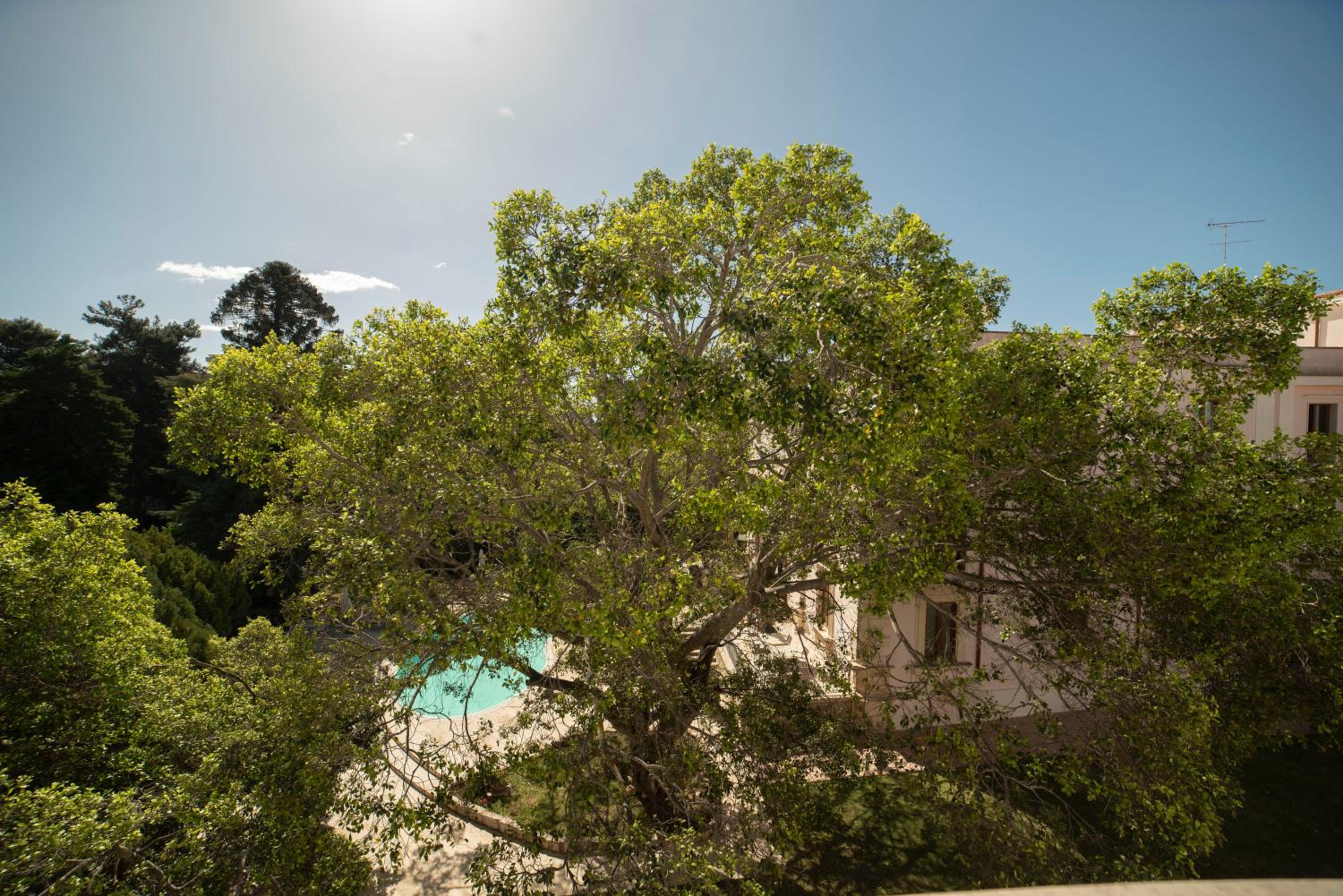 Double Room with Terrace