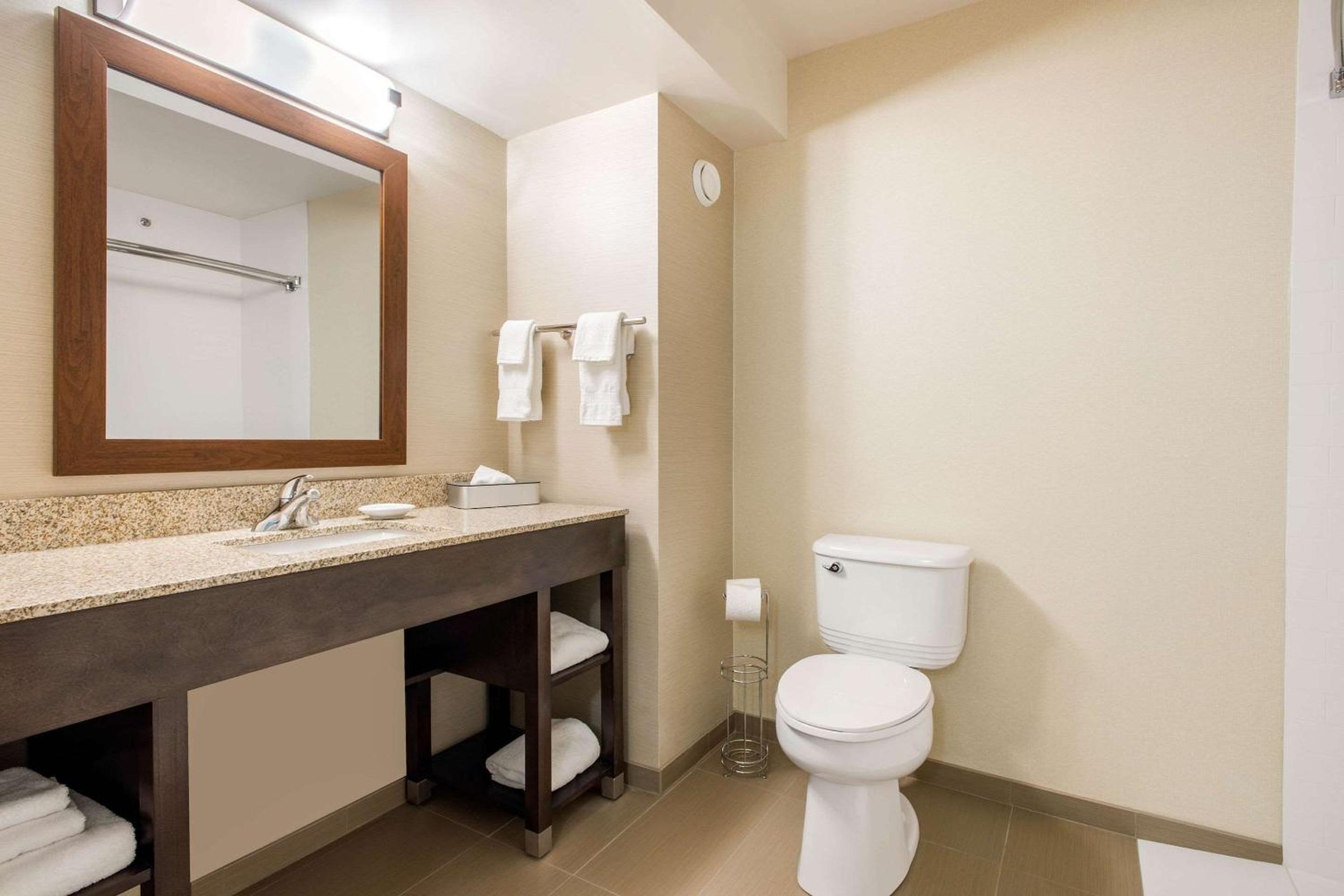 Queen Room with Sofa-Bed - Accessible/Non-Smoking