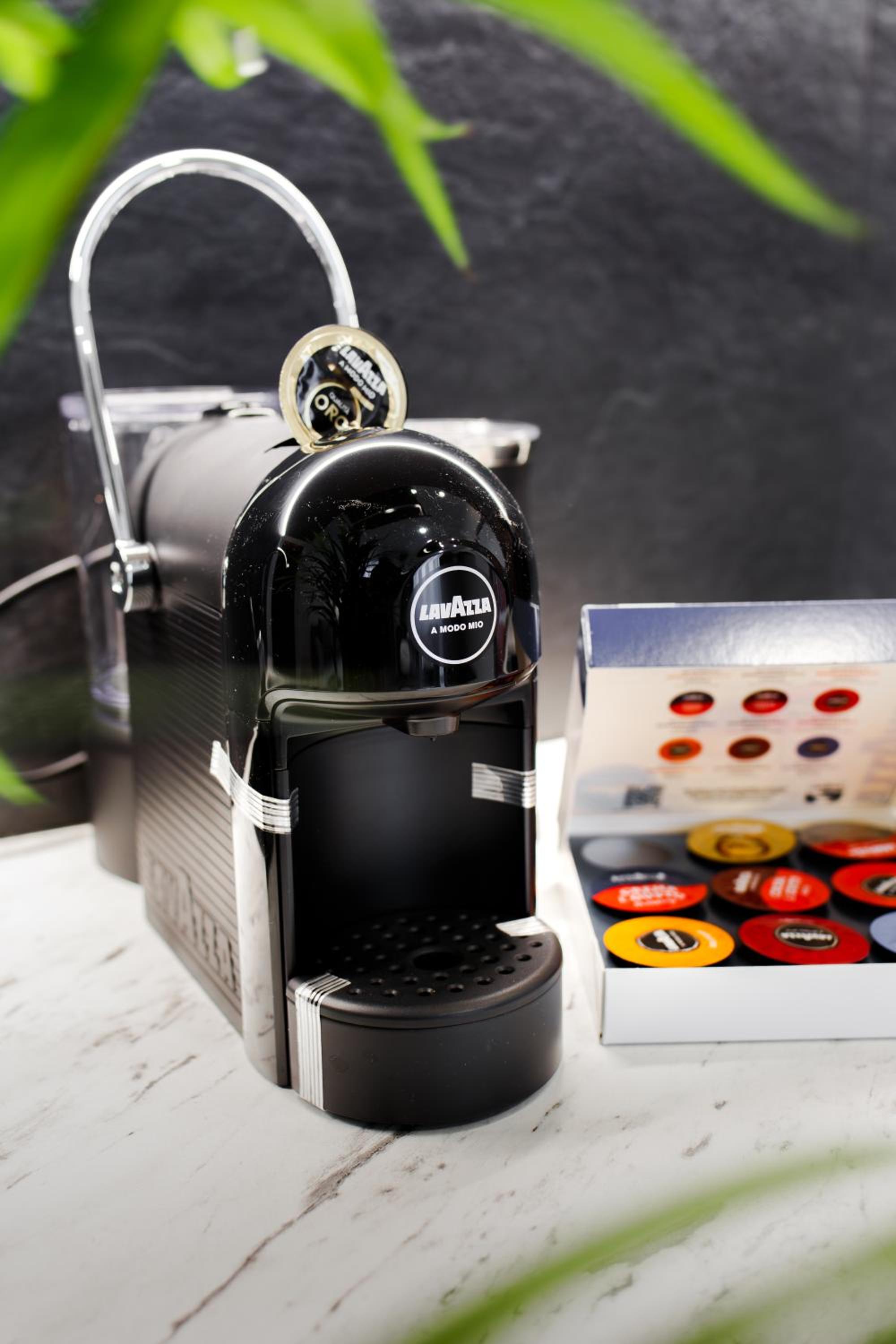 Superior One-Bedroom Apartment