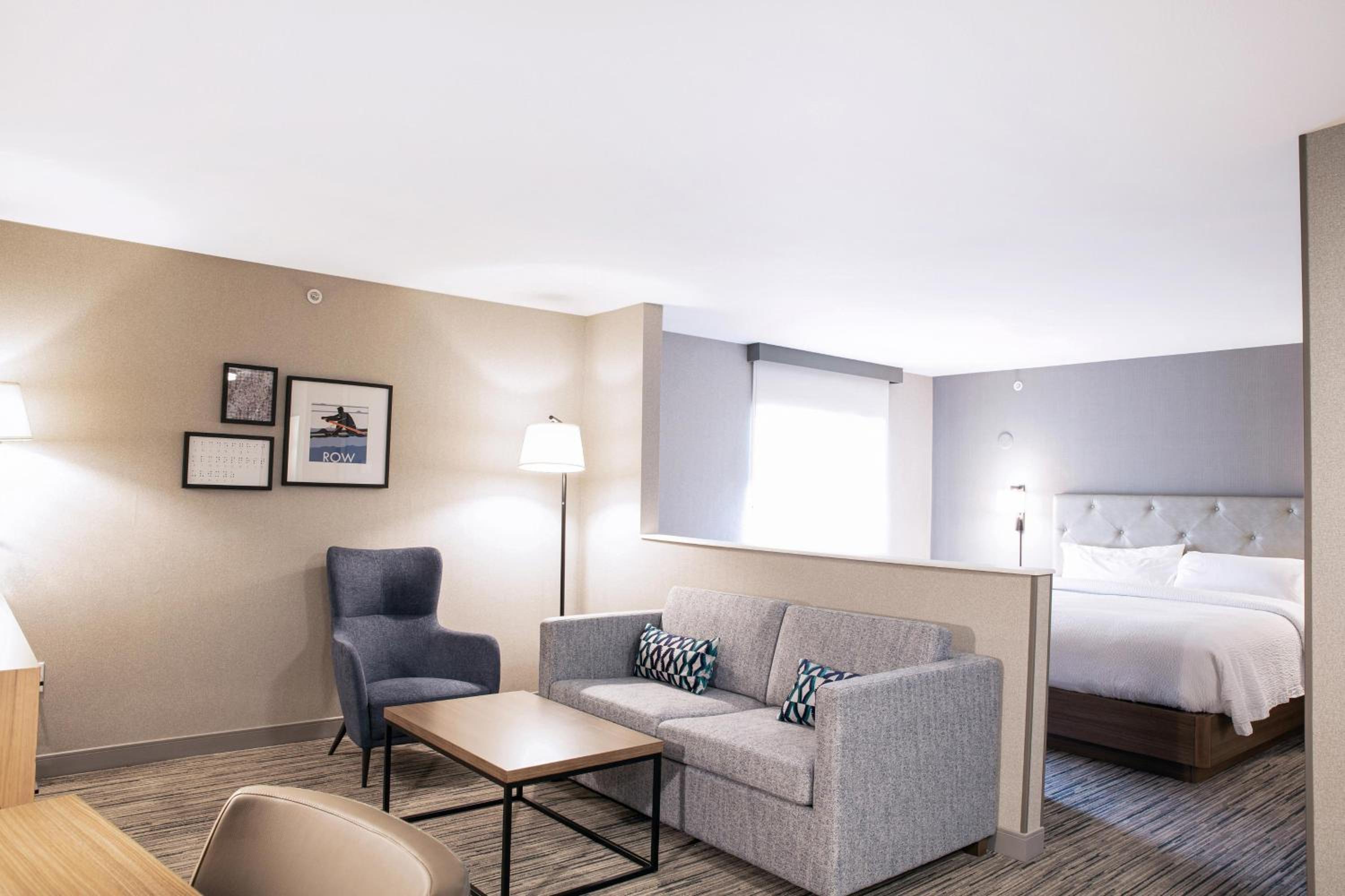 Suite, 1 King, Sofa bed