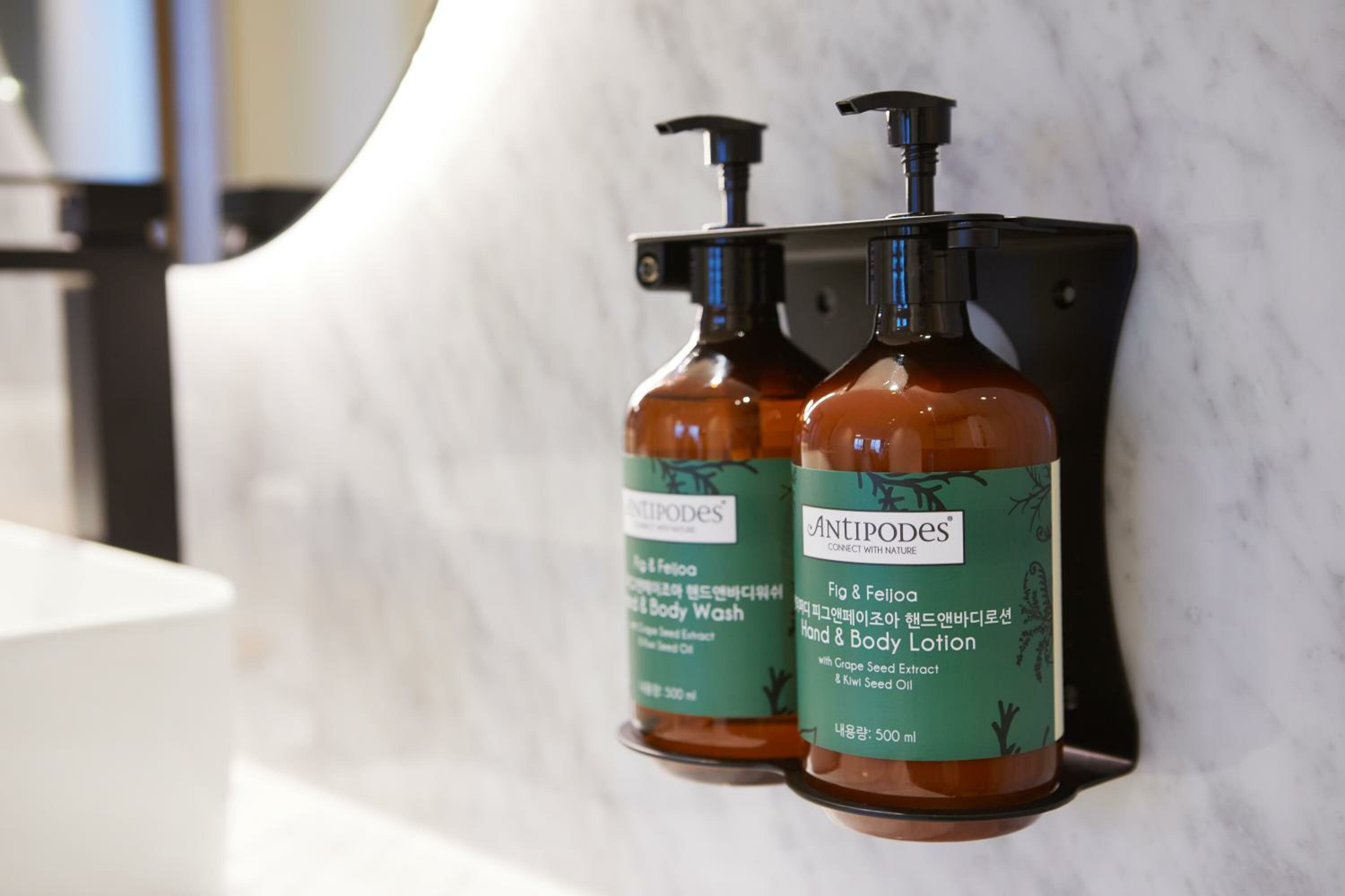 King Suite with Sofa Bed