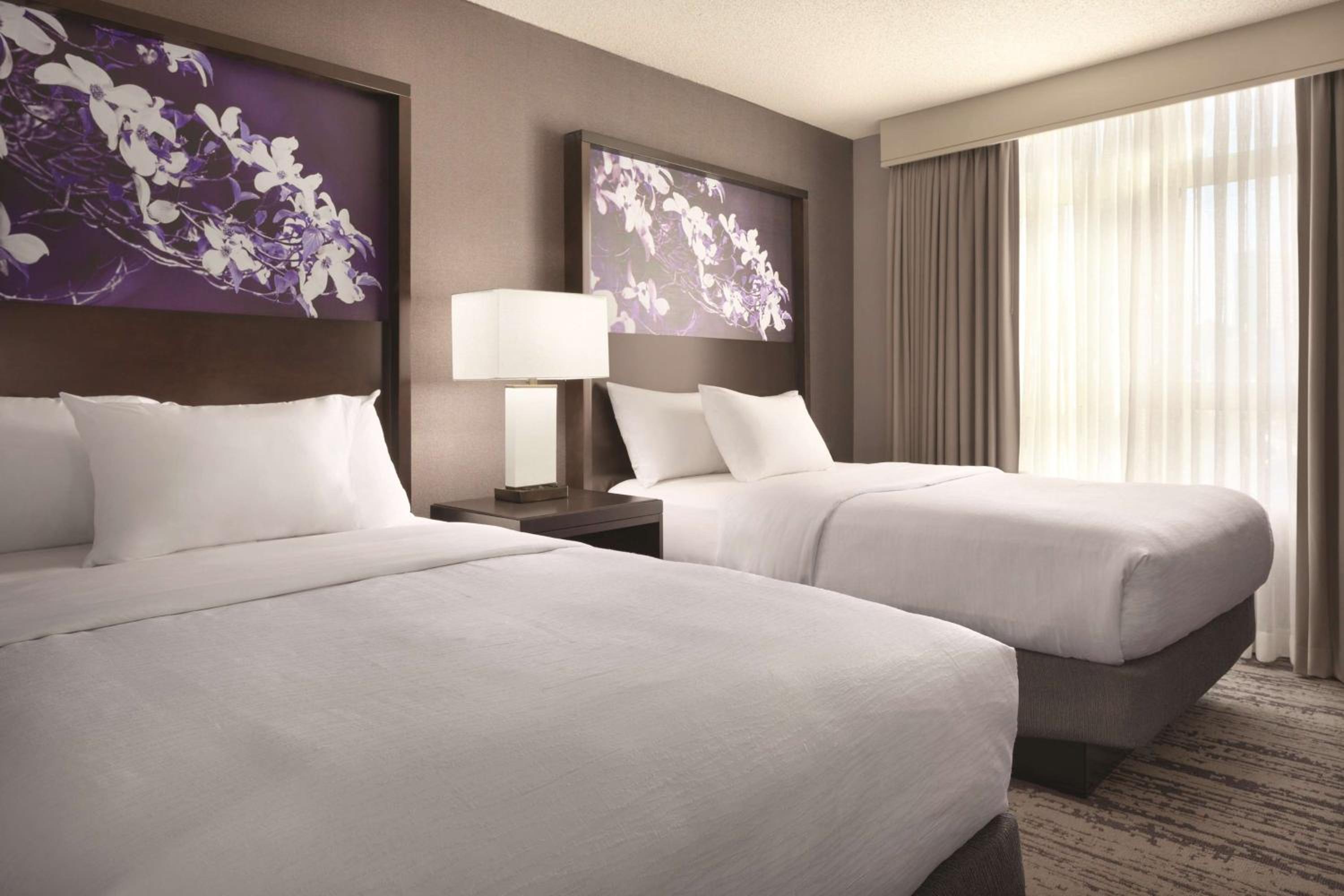 Premium Corner Suite with Two Double Beds