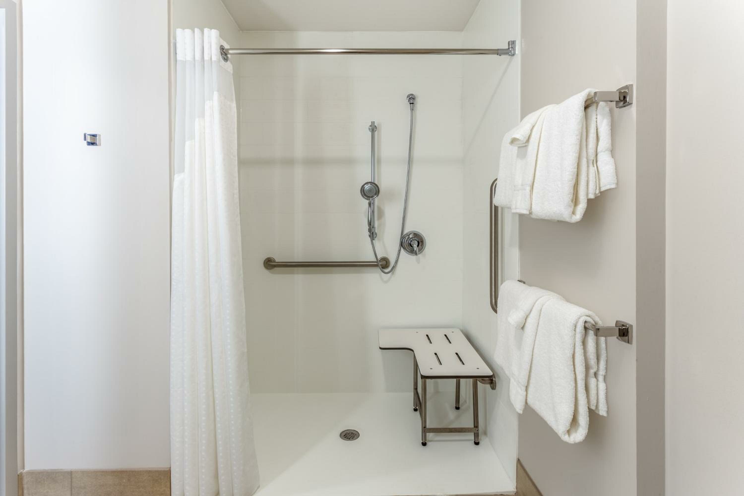 Suite - Mobility Access Roll in Shower/Non-Smoking