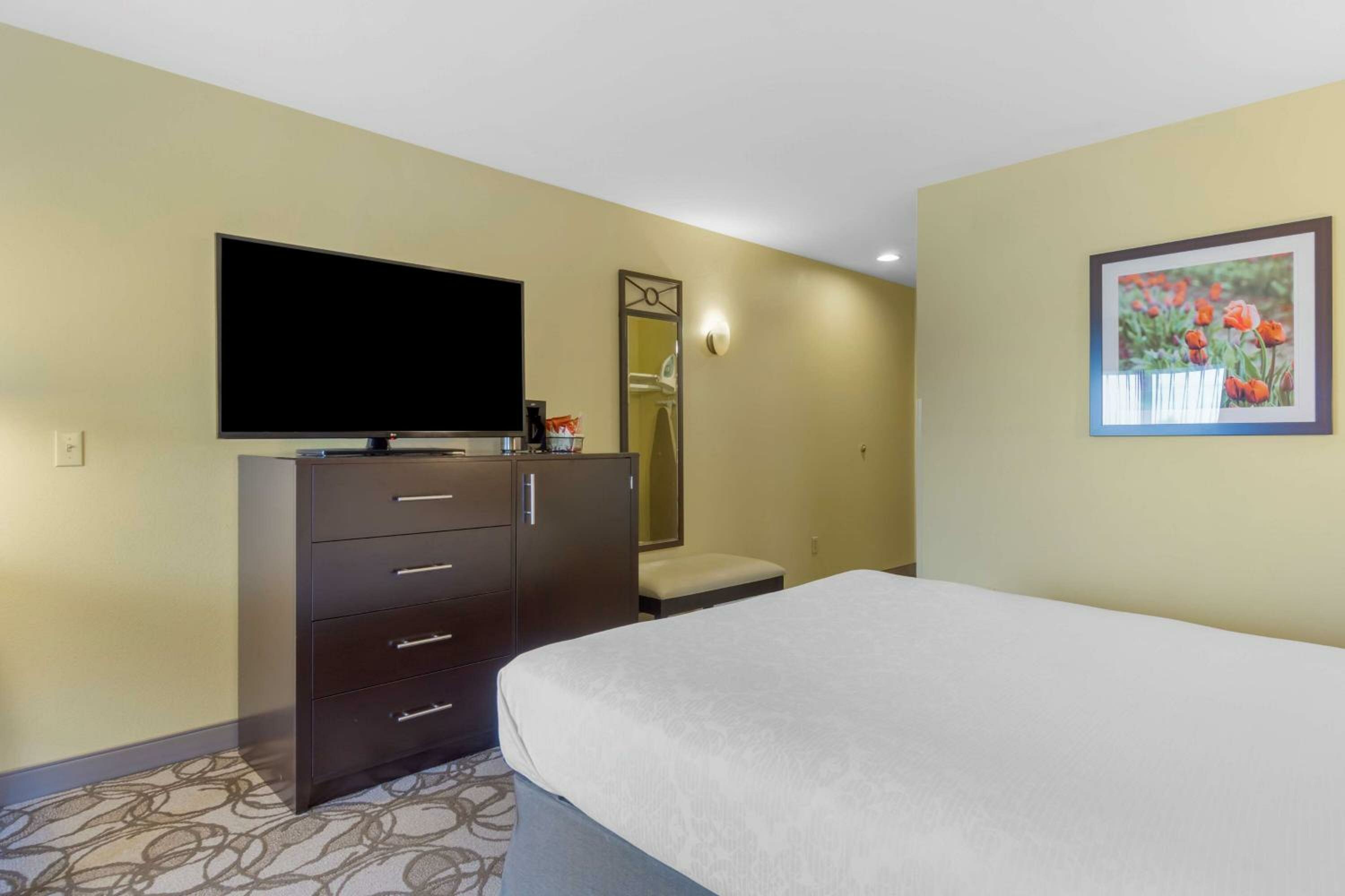 Queen Room with Roll-In Shower - Mobility Access