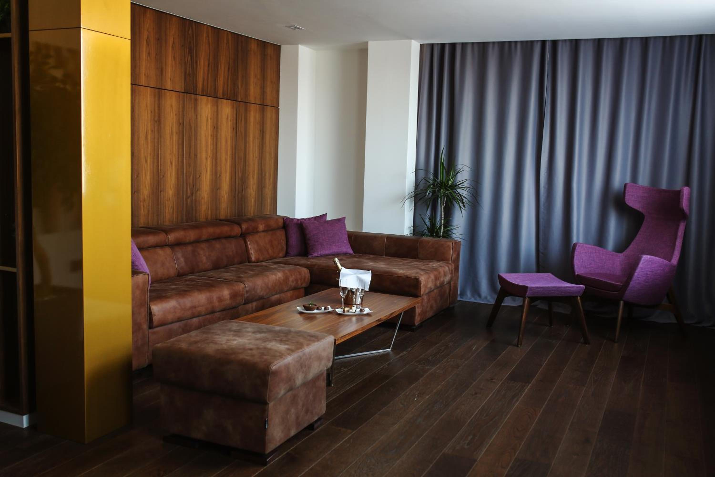 Deluxe One-Bedroom Apartment