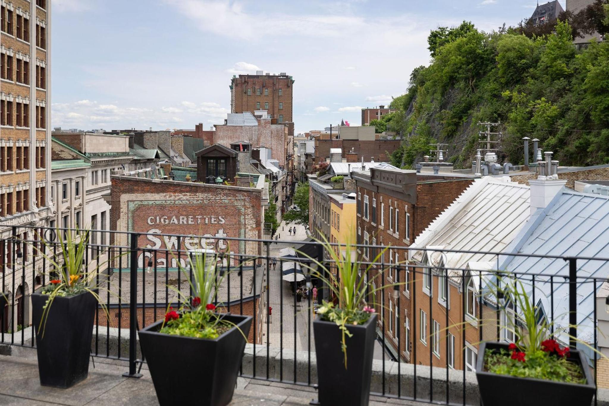 Presidential Suite / Building B / Animals Not Permitted / No Groups 