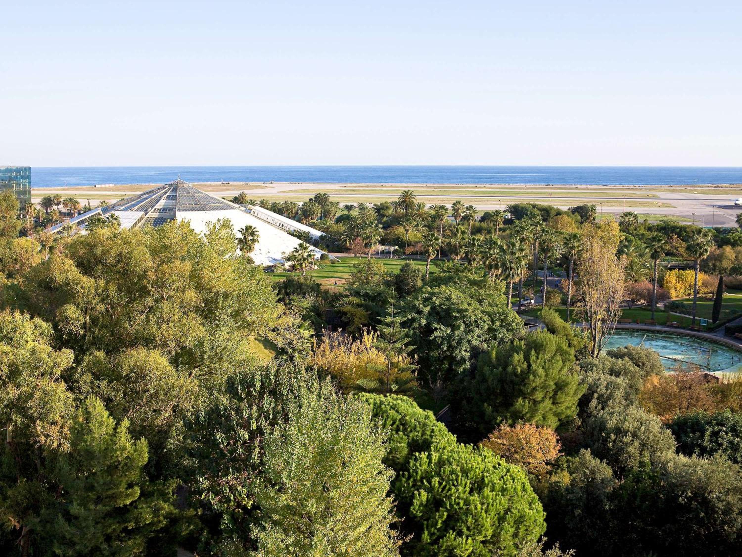 Superior Sea View Suite