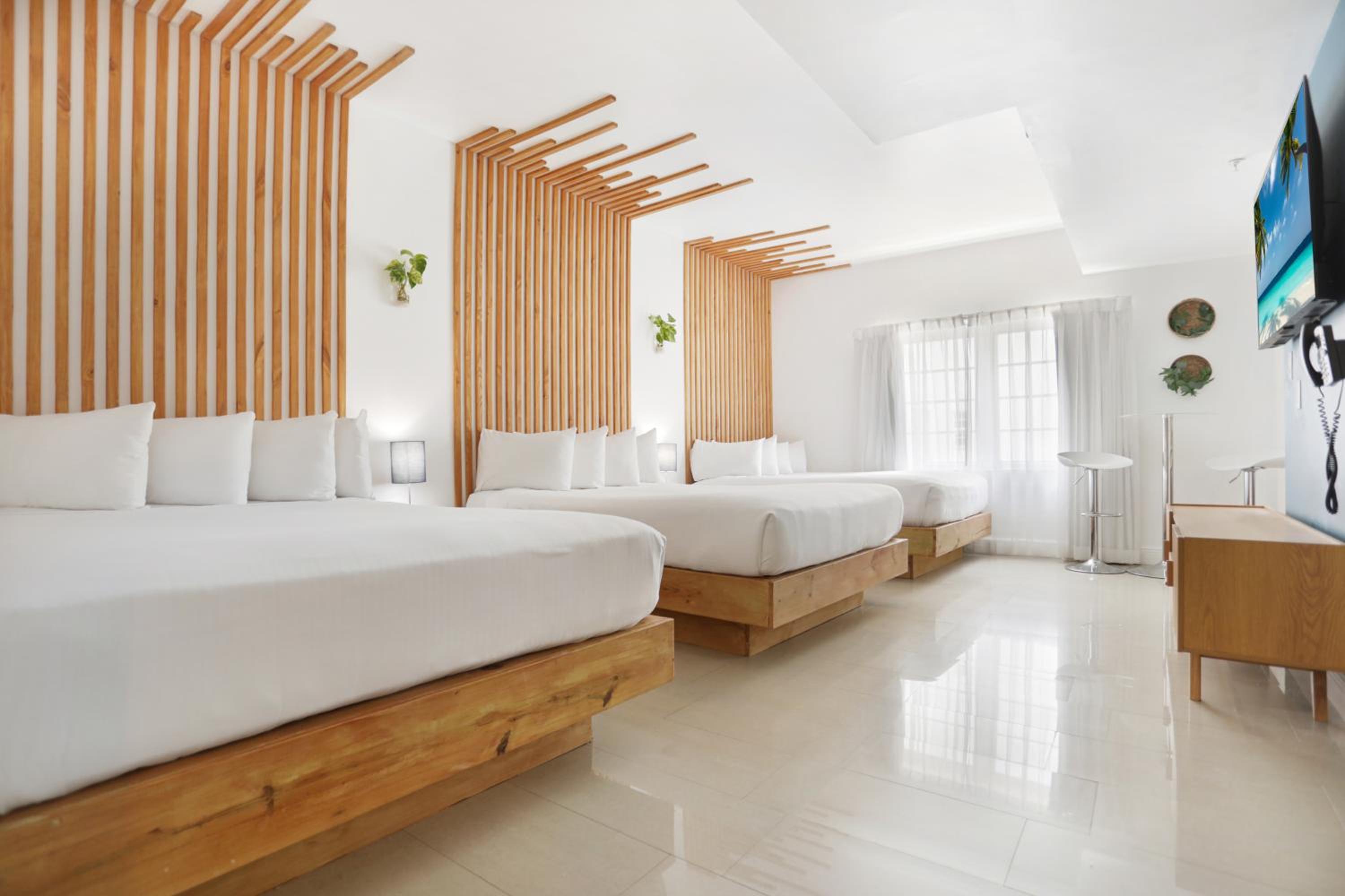 Deluxe Triple Studio with Kitchen 