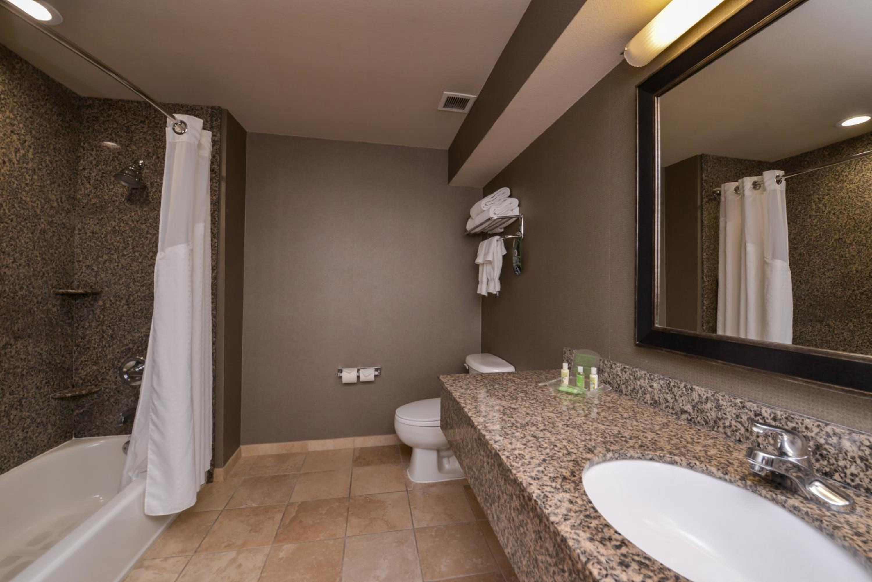 Executive King Suite