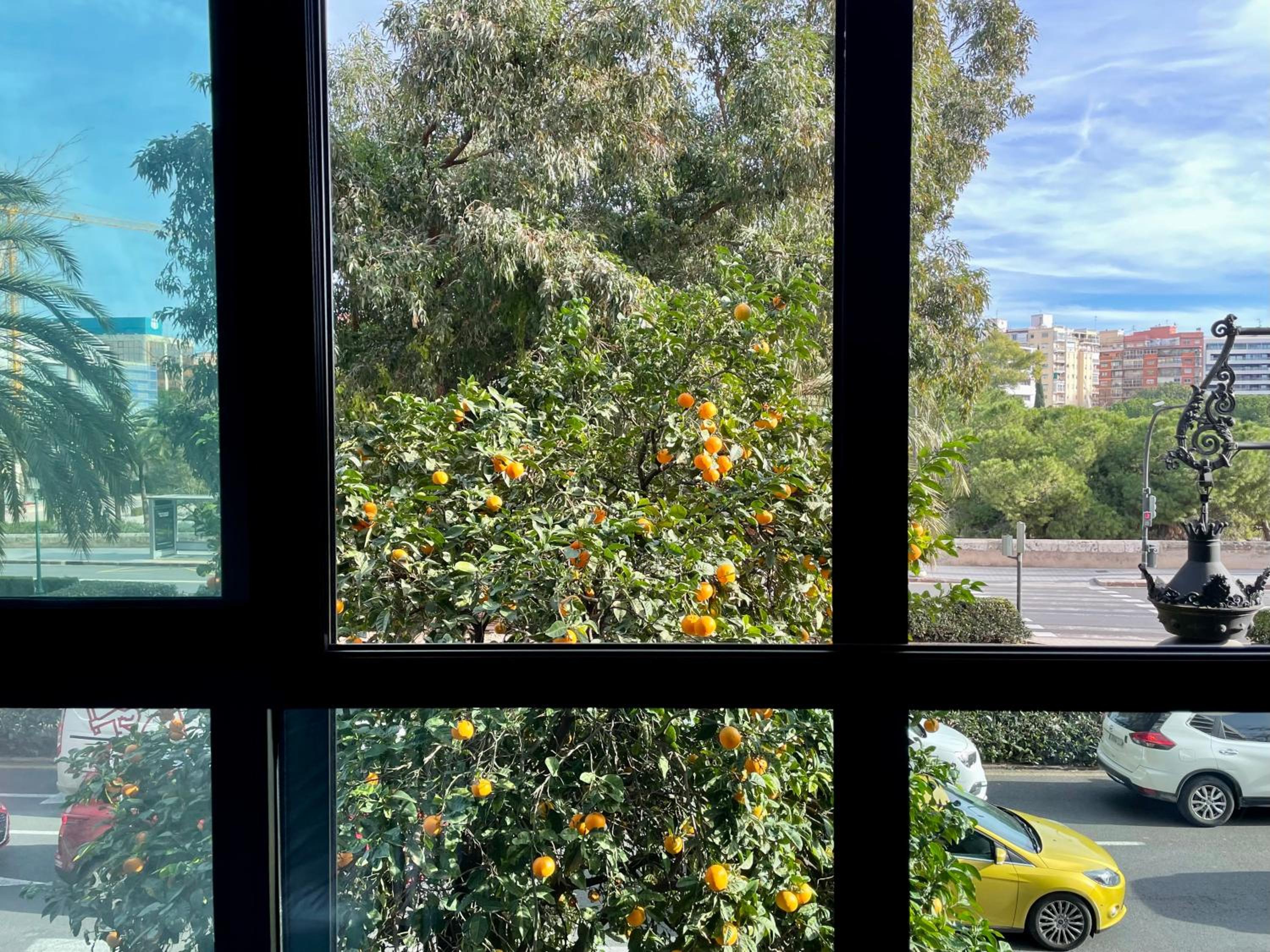 Superior Double Room with Views