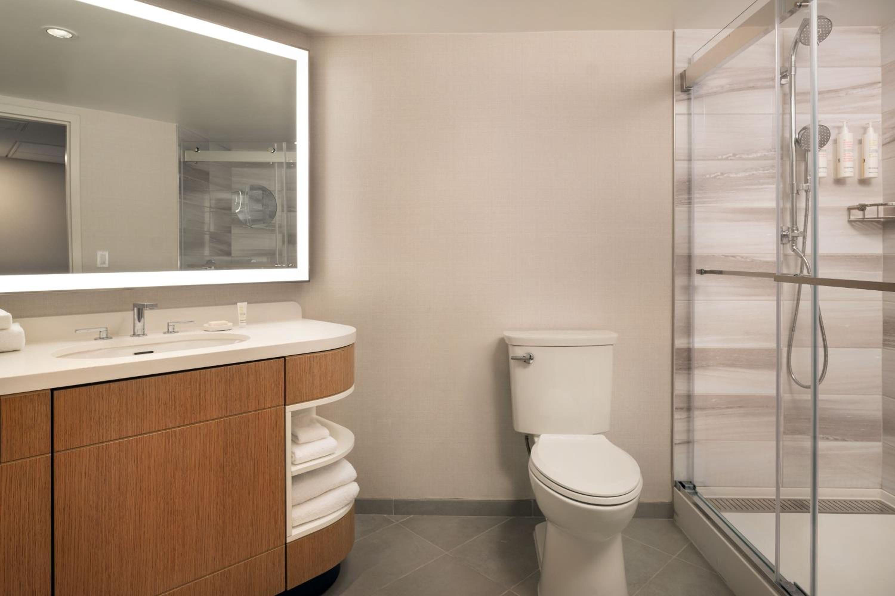 Deluxe King Room with City View