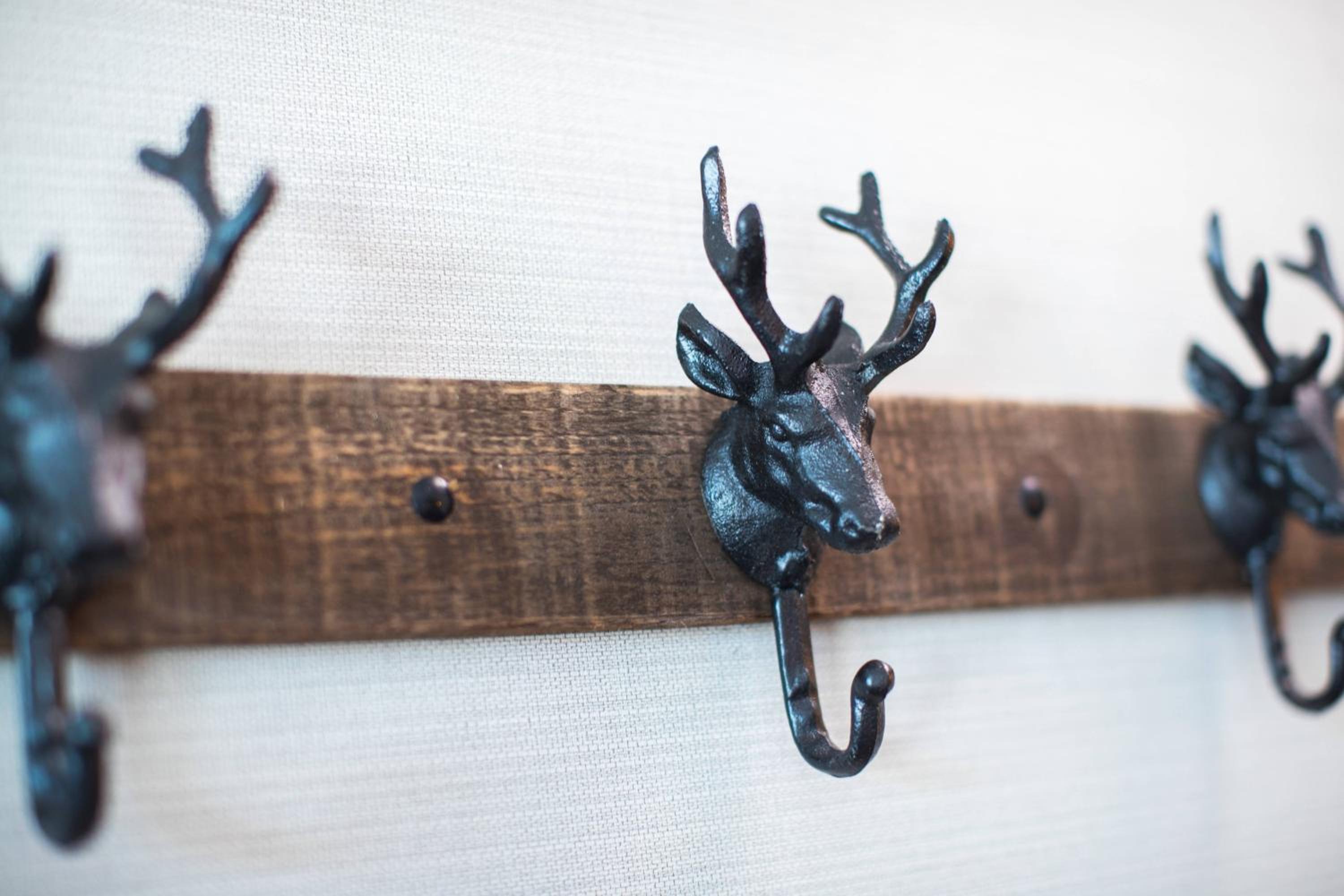 King Room with Sofa Bed