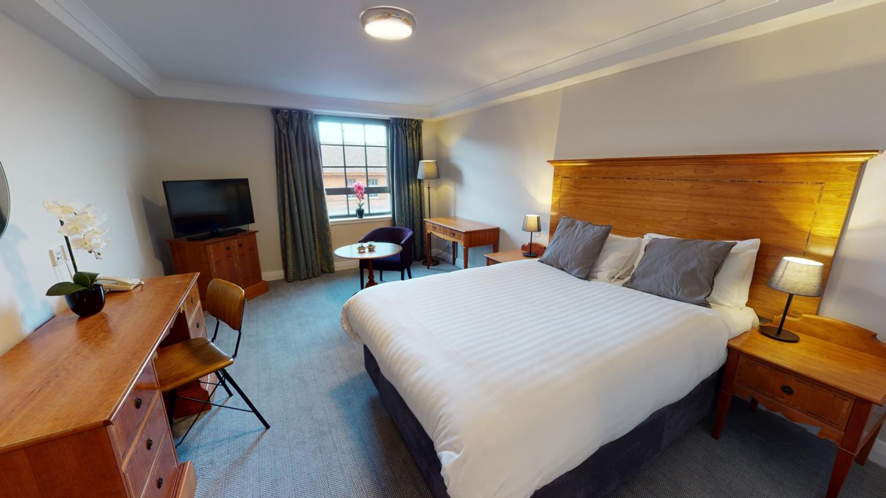 Larger Double Studio Suite with Sofa Bed - Non-Smoking