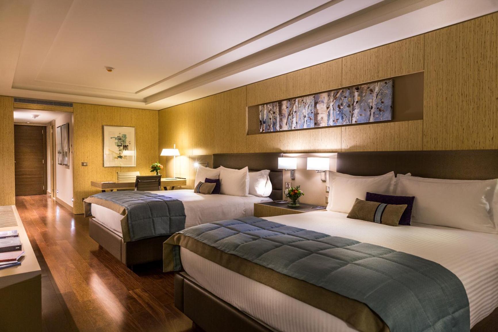 Deluxe Queen Suite with Park View - Mobility Accessible