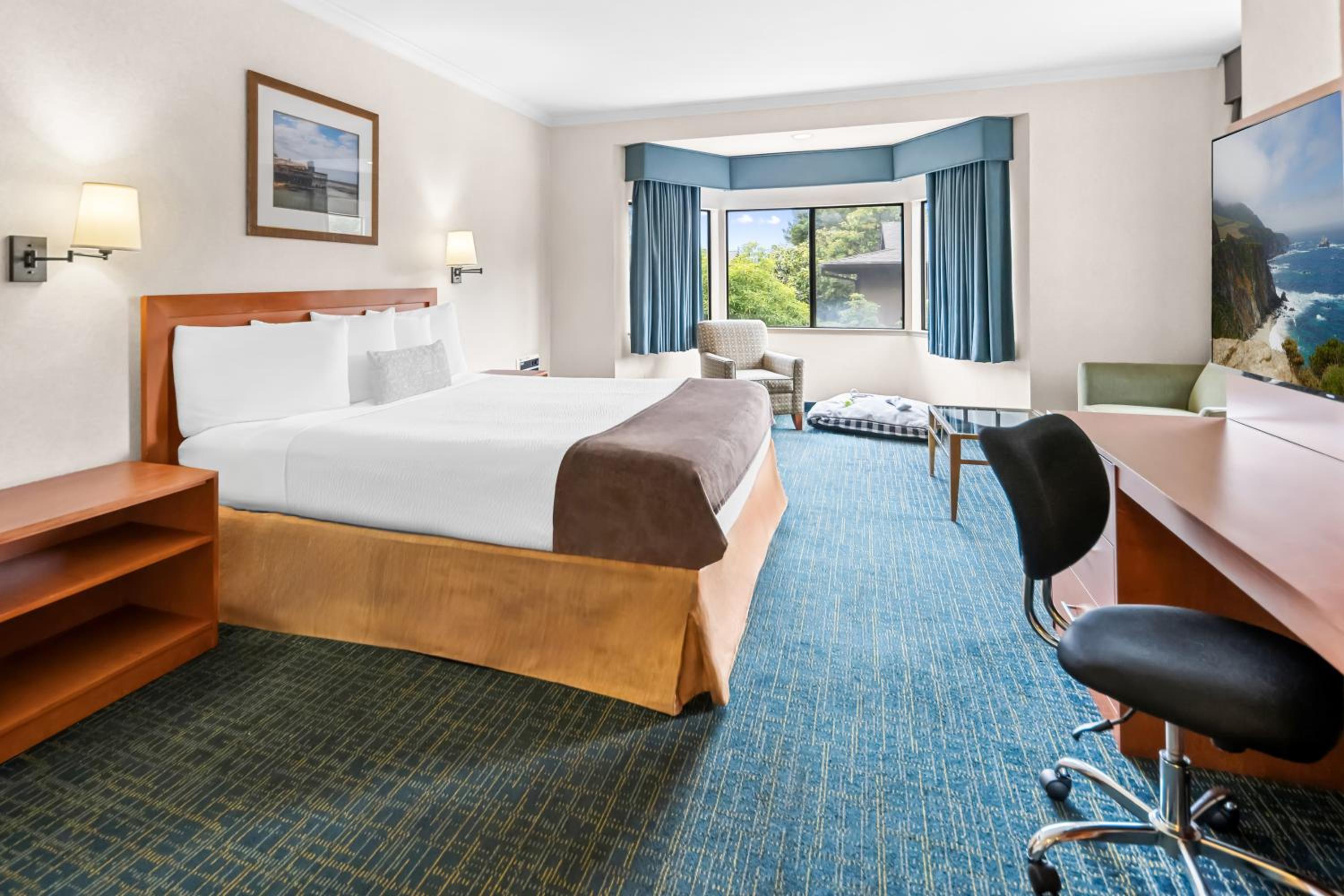 King Room - Pet Friendly/Non-Smoking